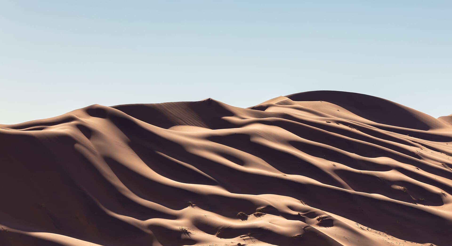 Red dunes of Sossusvlei