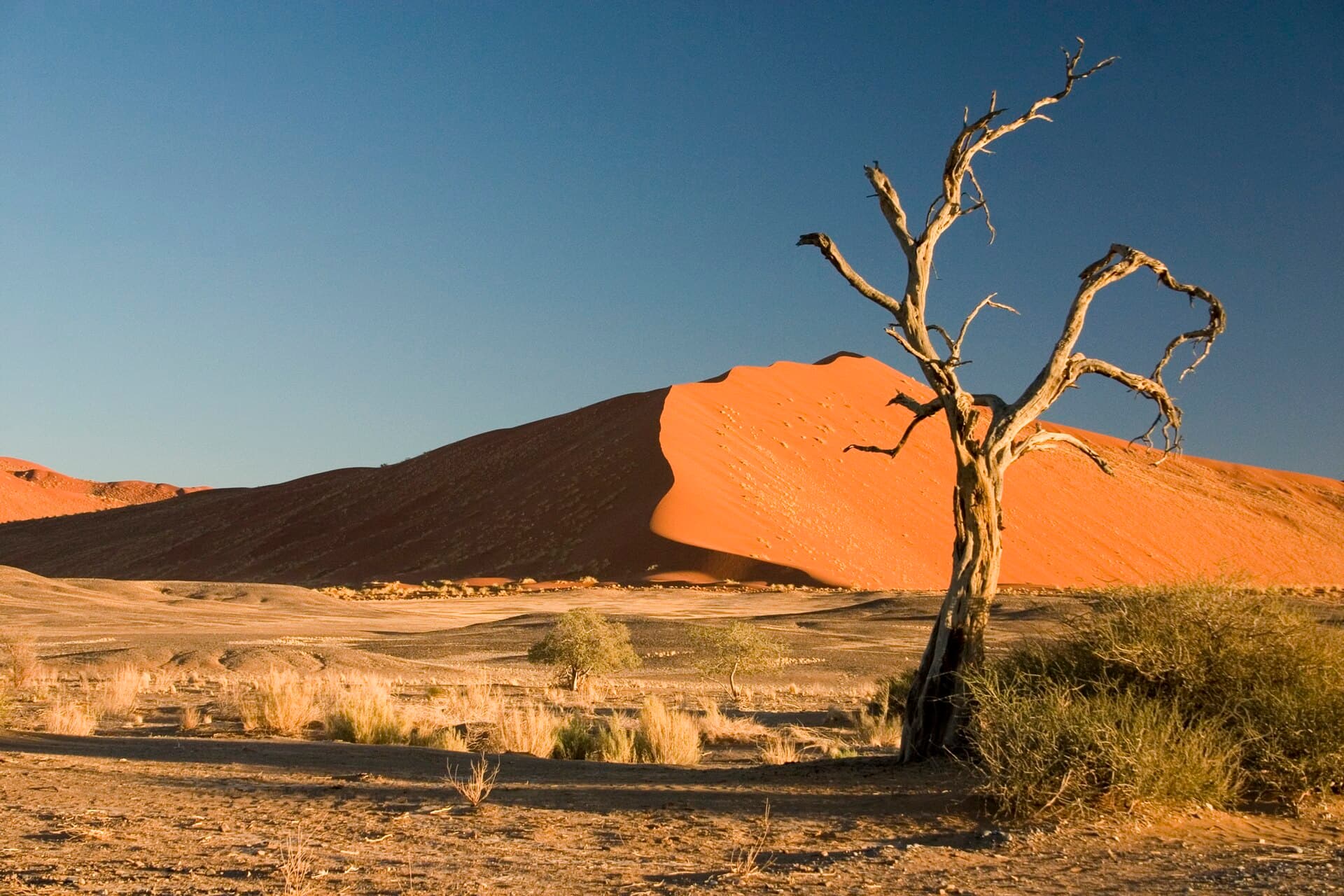 Red dunes of Sossusvlei
