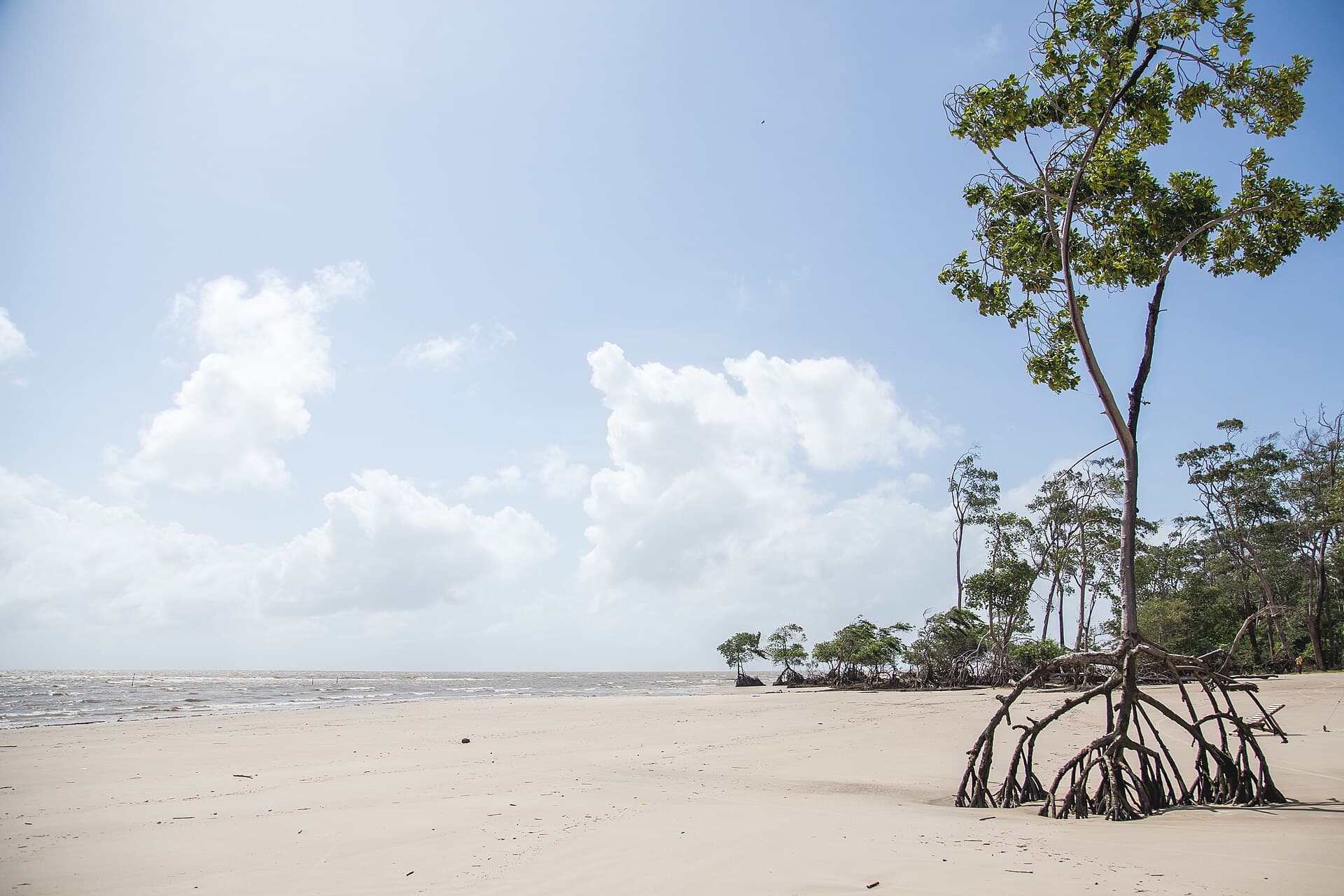 Soure and Praia do Pesqueiro, Soure