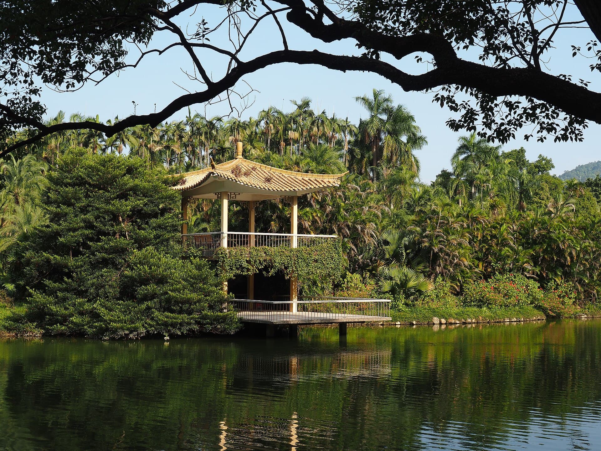 South China National Botanical Garden