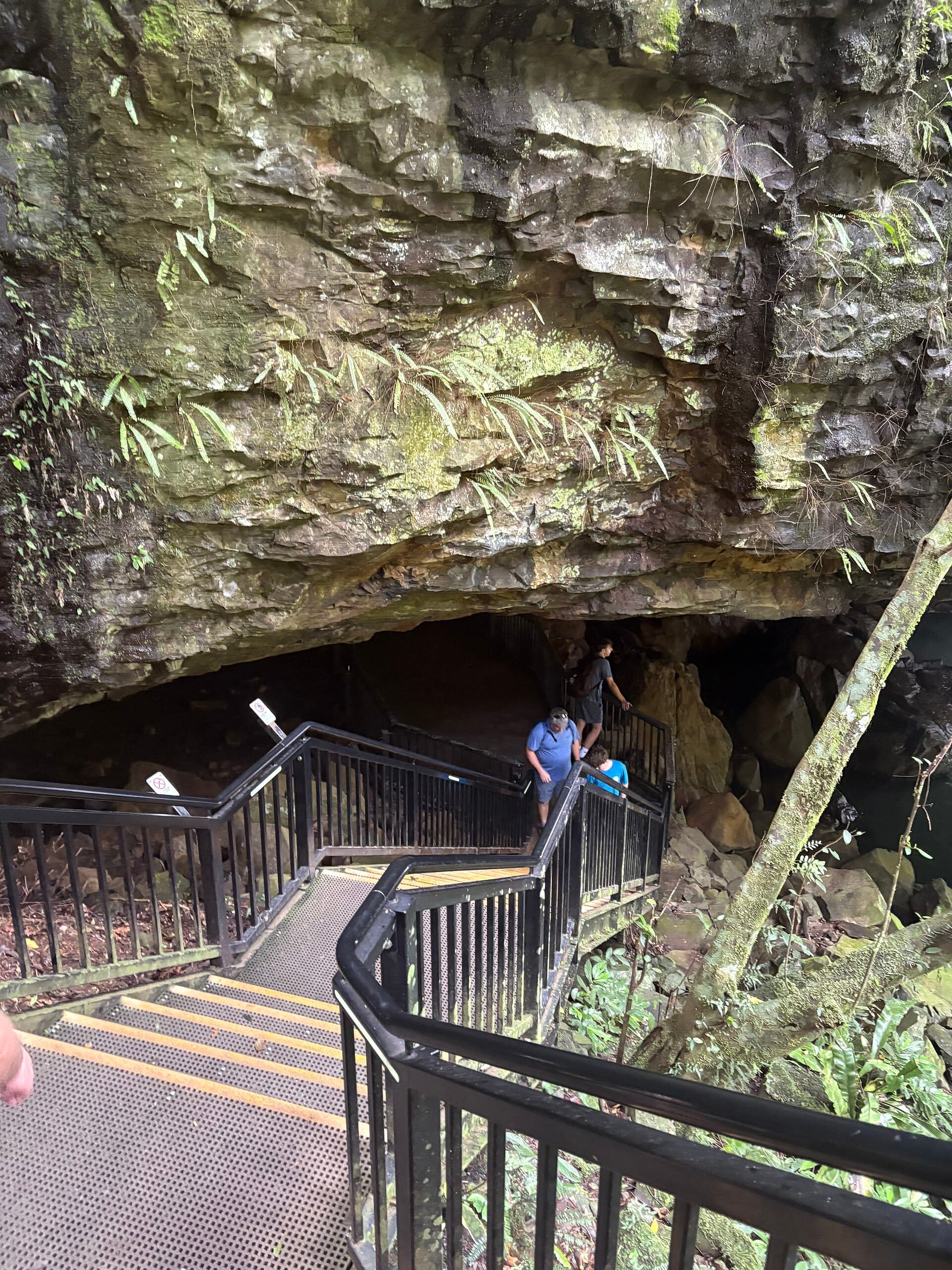 Natural Bridge, Springbrook National Park