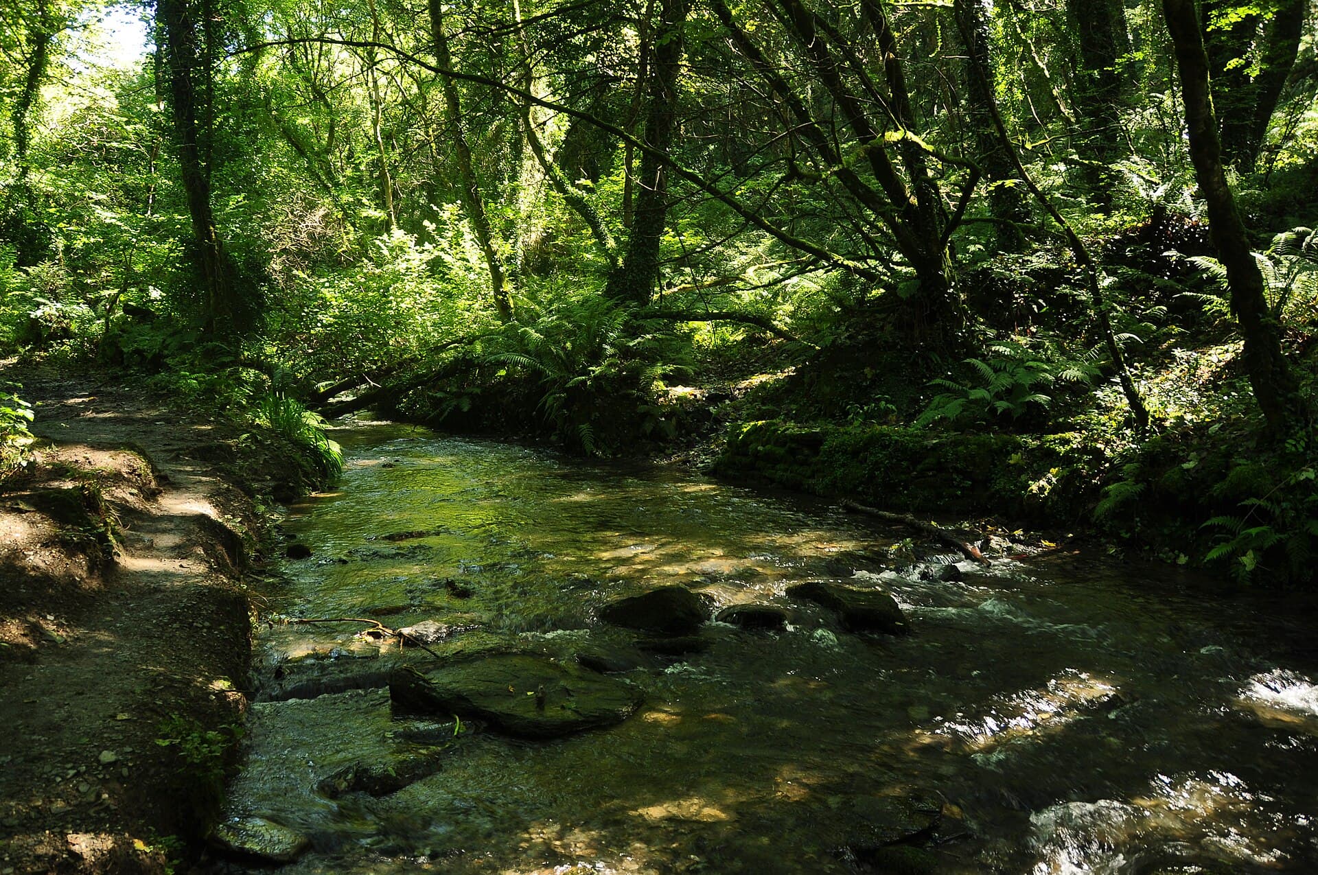 St Nectan's Glen, Cornwall