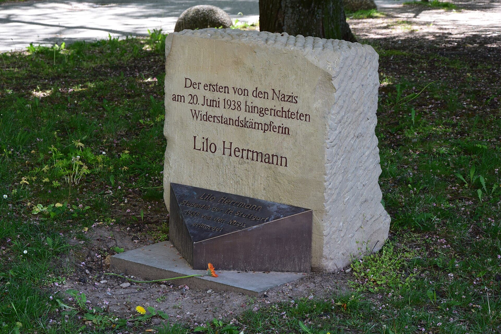 Stadtgarten, Stuttgart