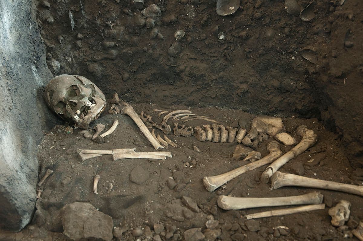 Museum of Archaeology, Stavanger, Stavanger