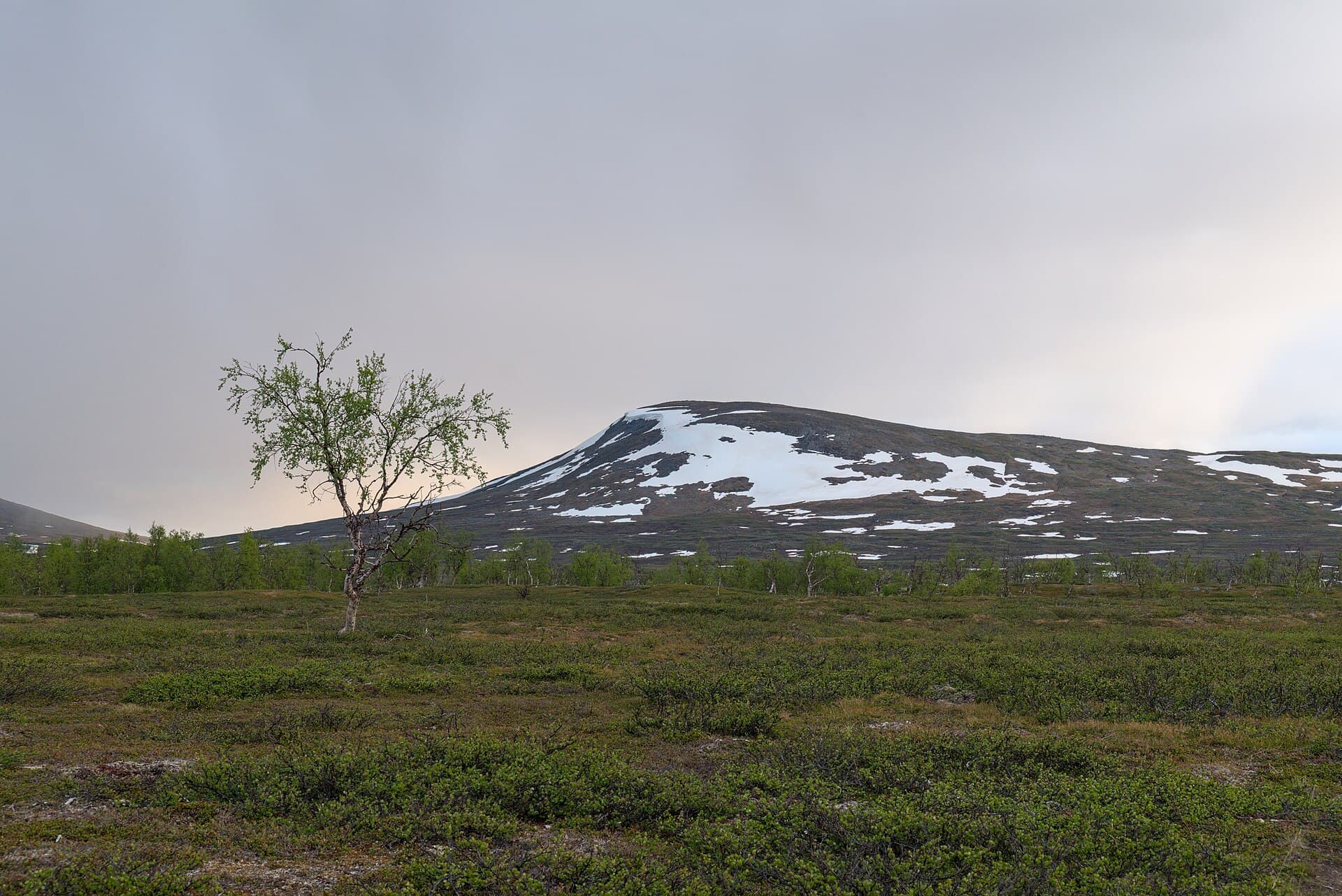 Stora Sjöfallet National Park, Kiruna