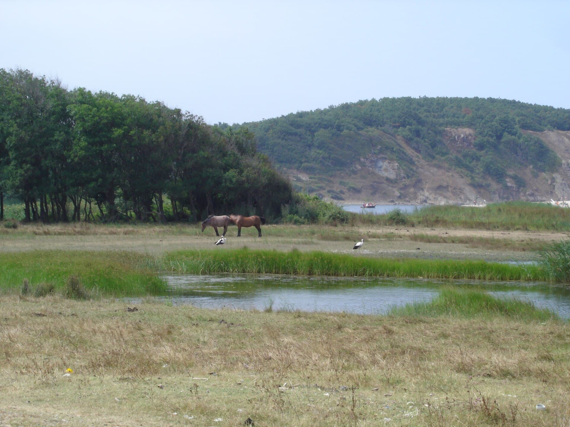 Strandzha Nature Park, Strandzha
