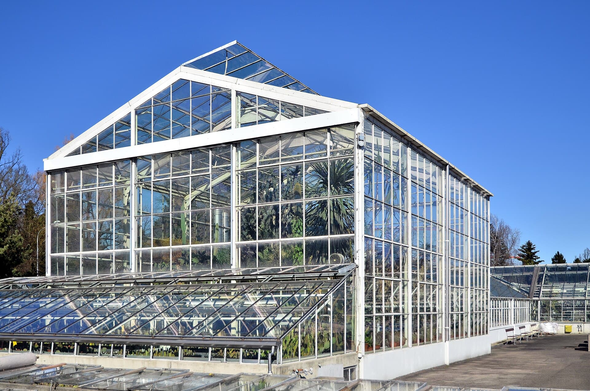 Zurich Succulent Plant Collection, Zurich