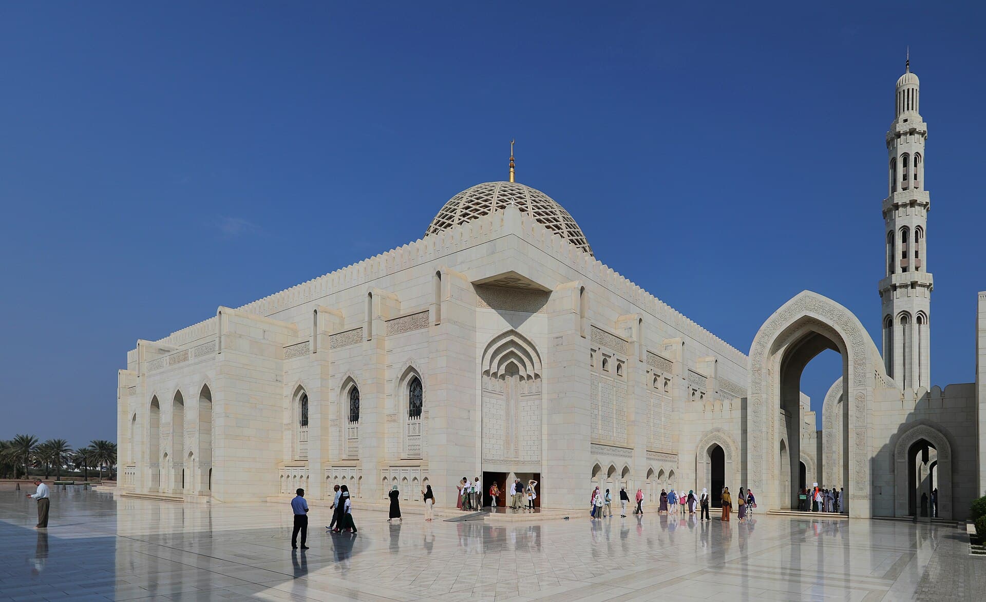 مسقط