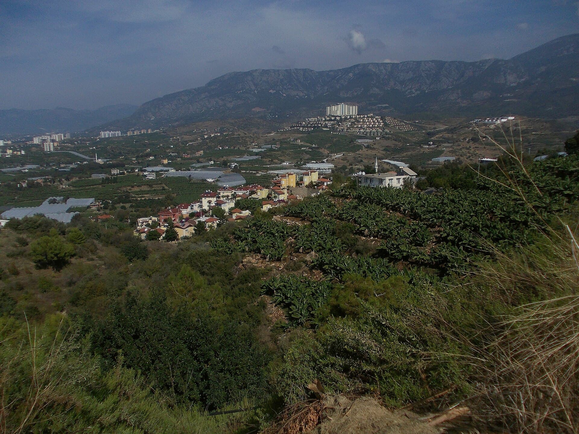 Syedra Ancient City, Alanya