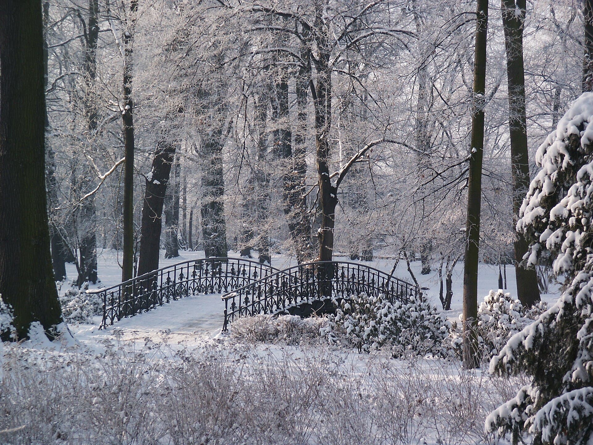 Szczytnicki Park, Wrocław