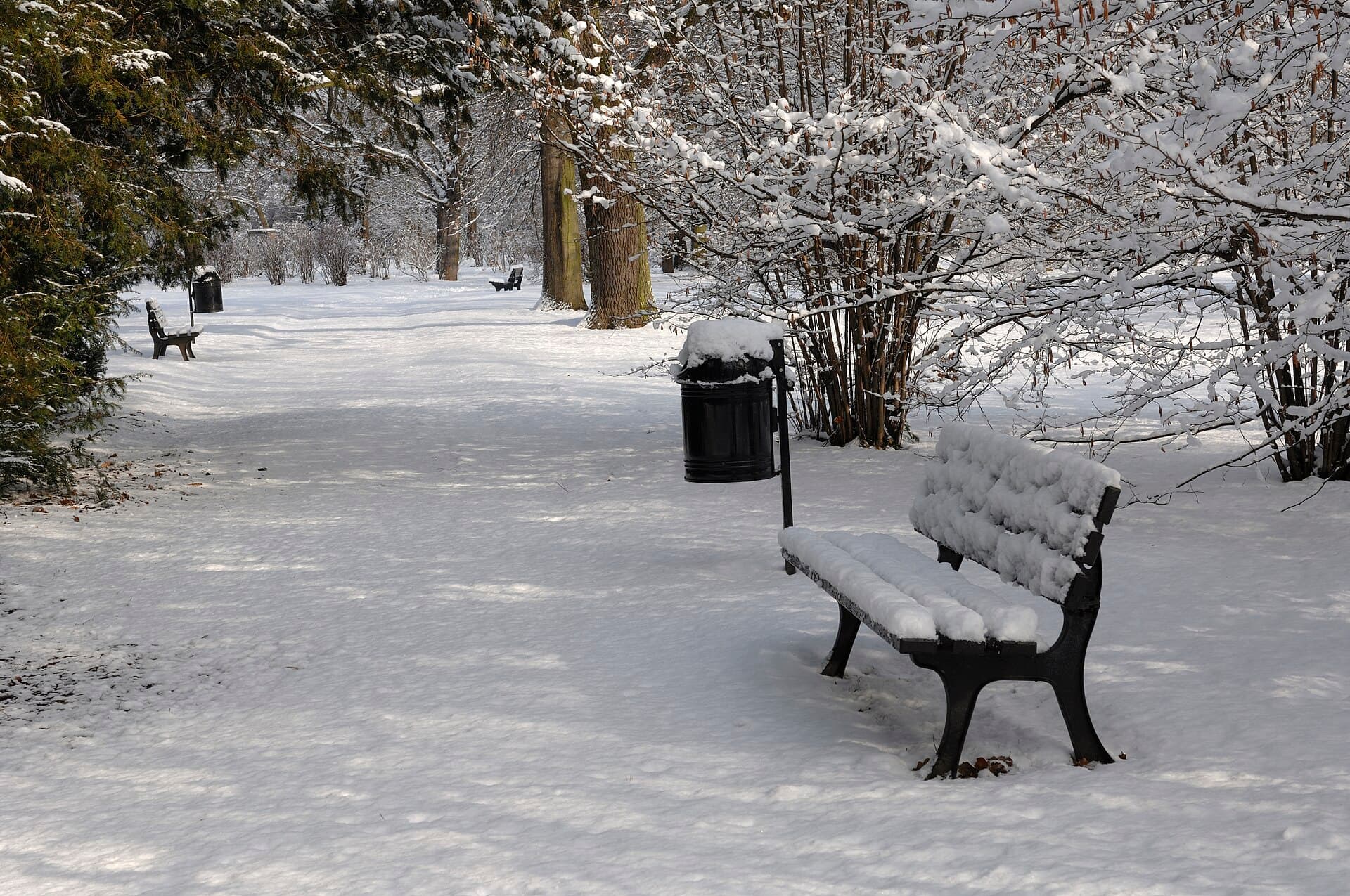 Szczytnicki Park, Wrocław