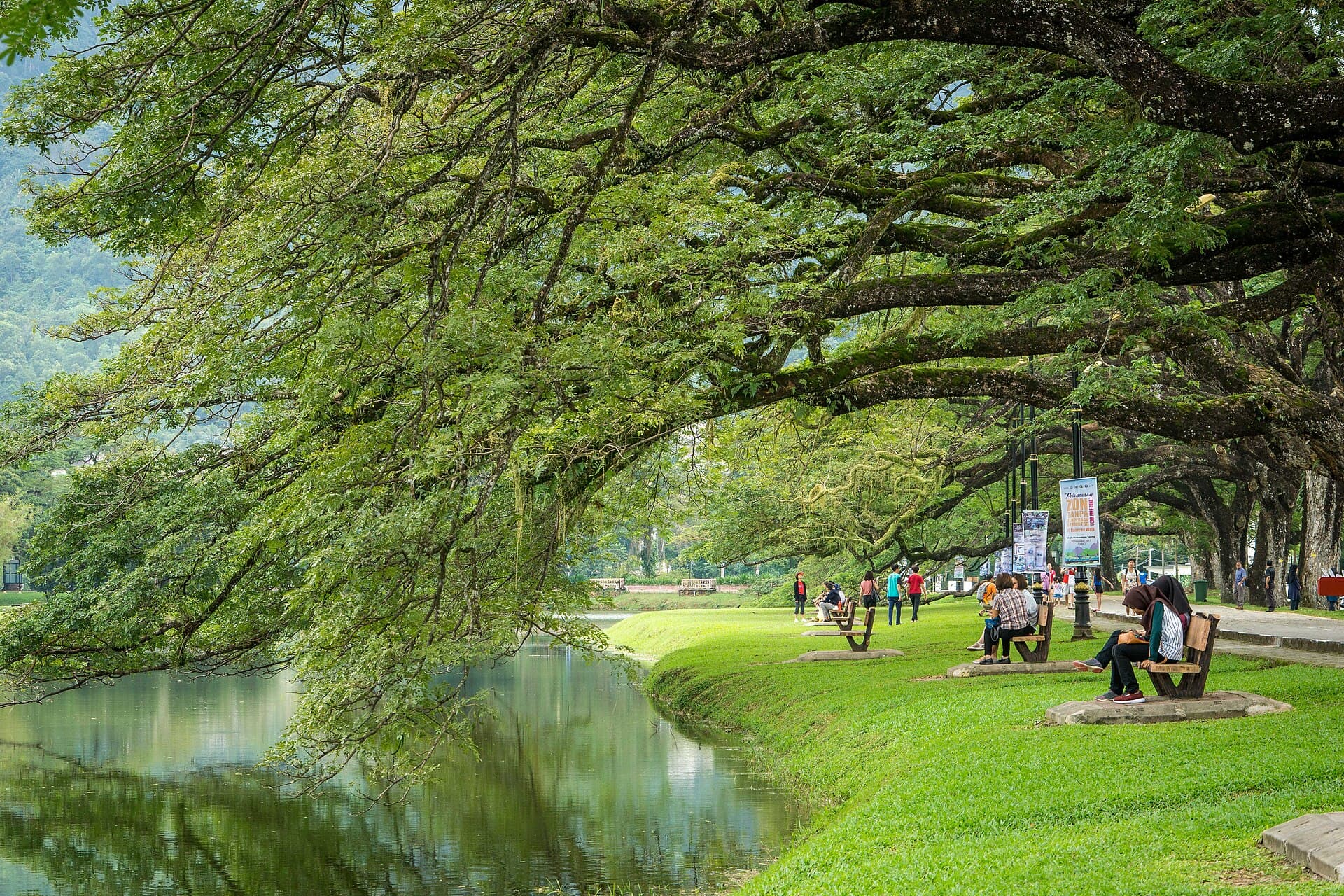 Taiping