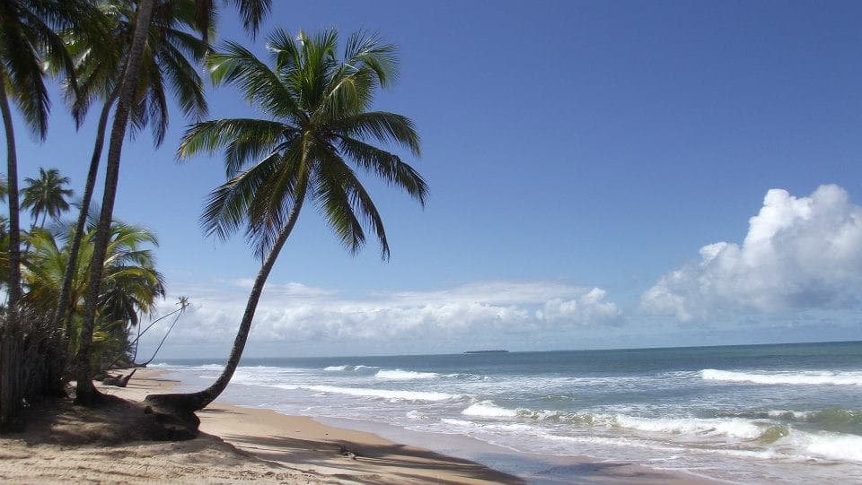 Taipus de Fora Beach, Maraú