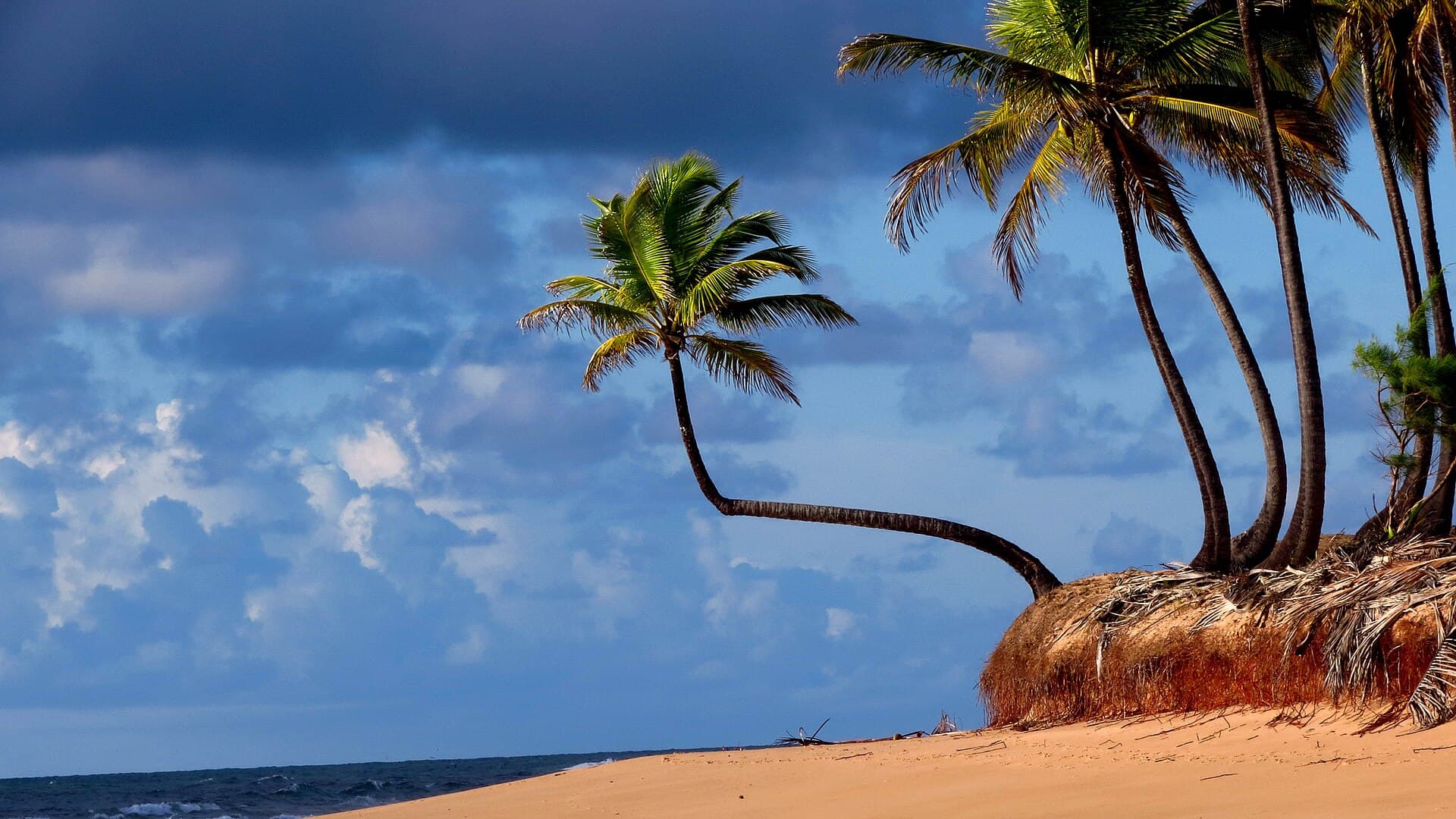 Taipus de Fora Beach, Maraú