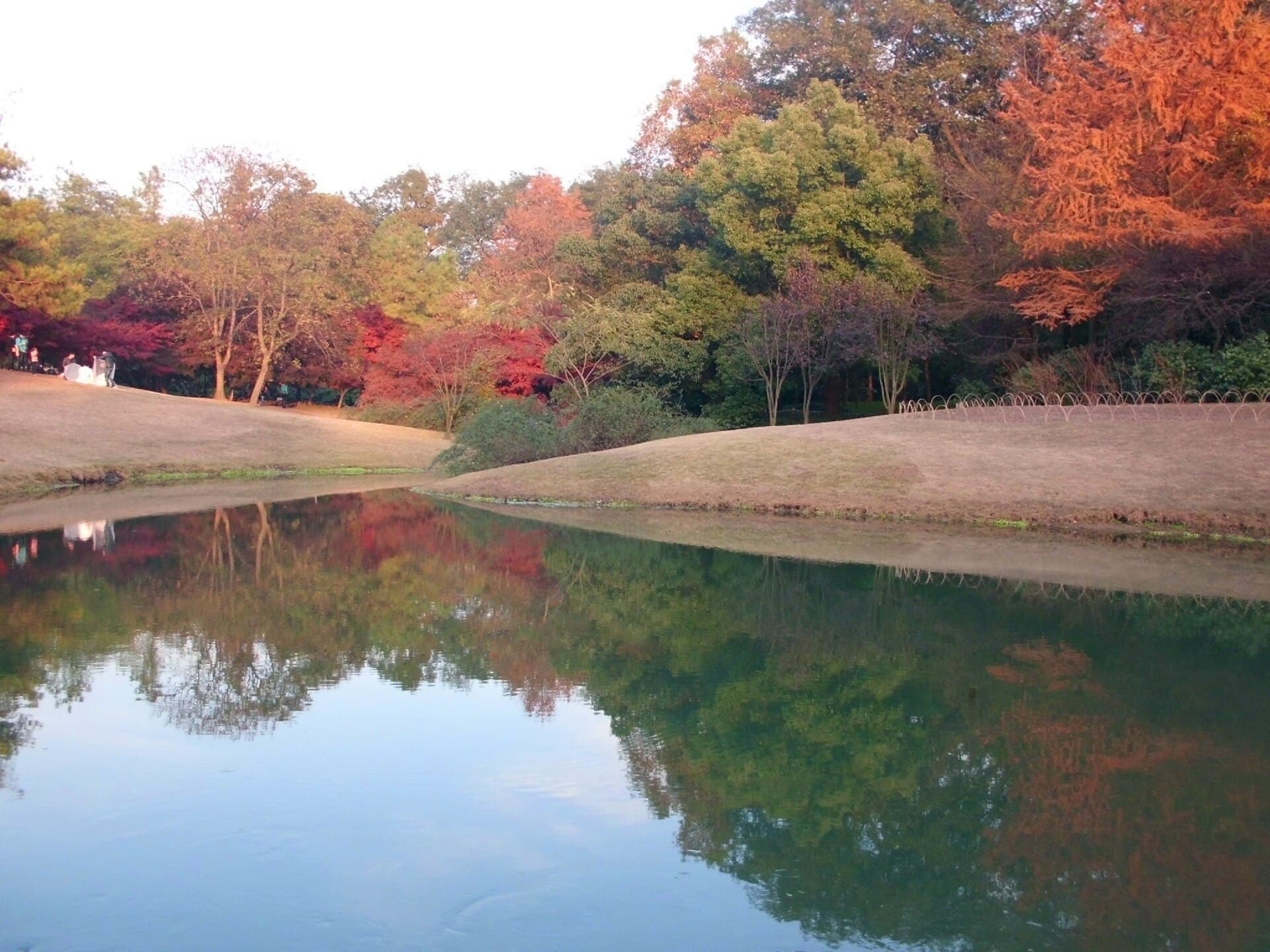 Taiziwan Park
