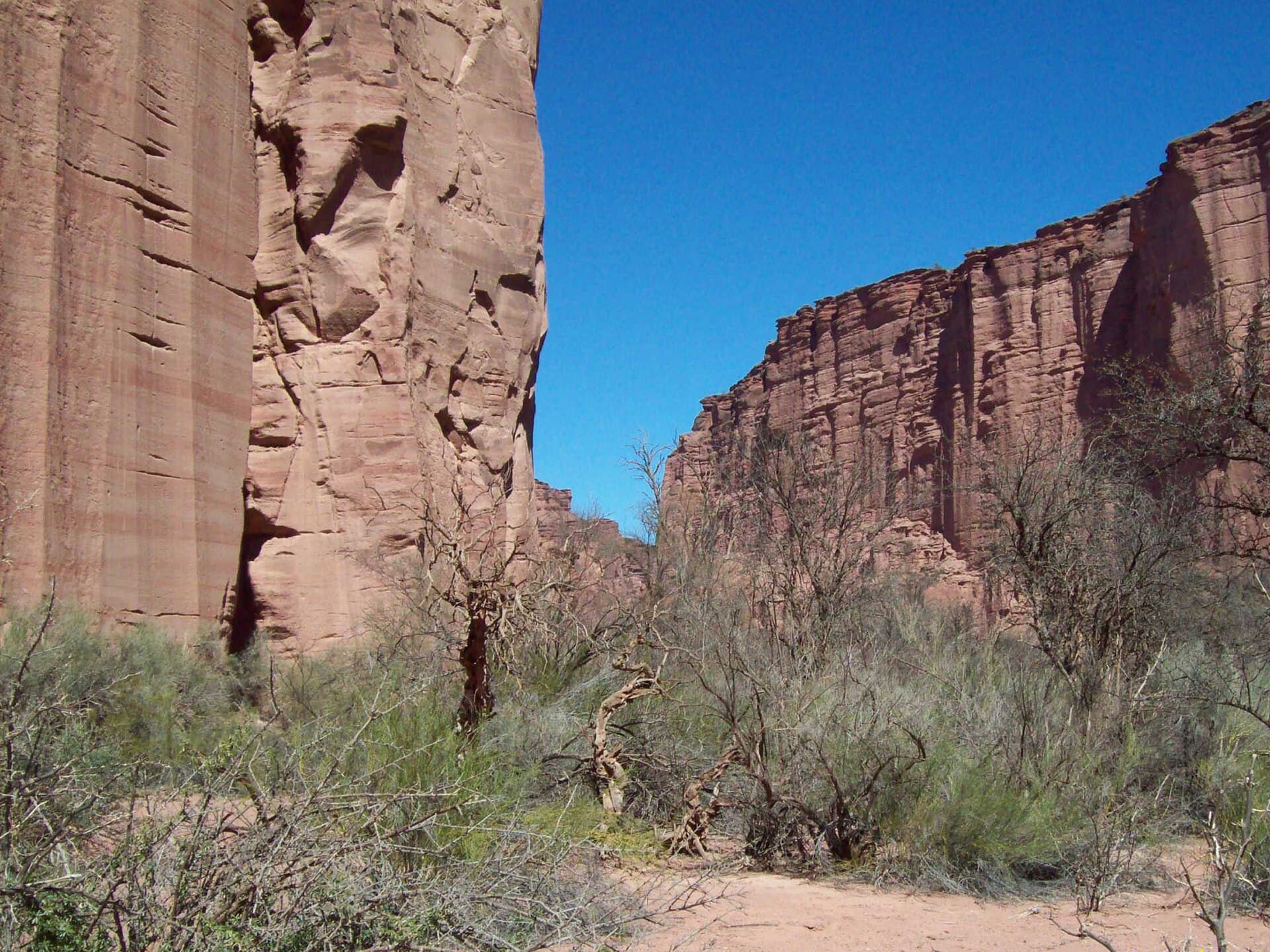 Talampaya National Park, Valle Fértil