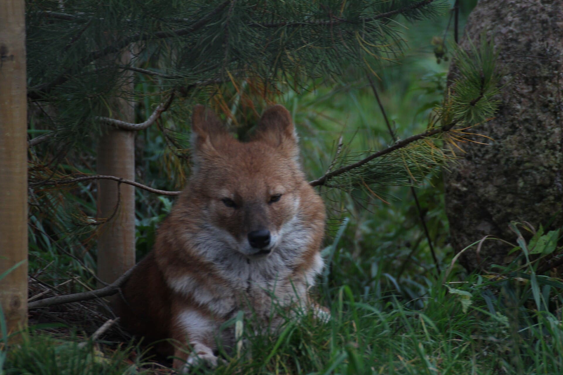 Tallinn Zoo, Tallinn