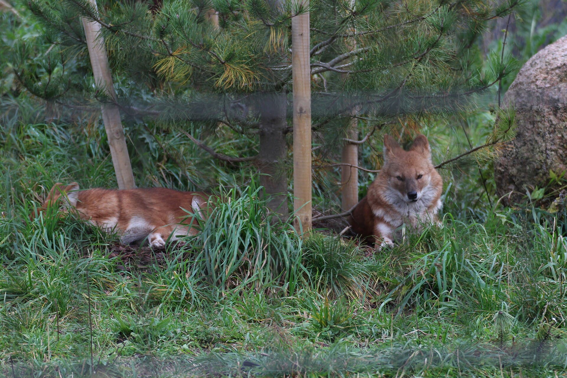 Tallinn Zoo, Tallinn