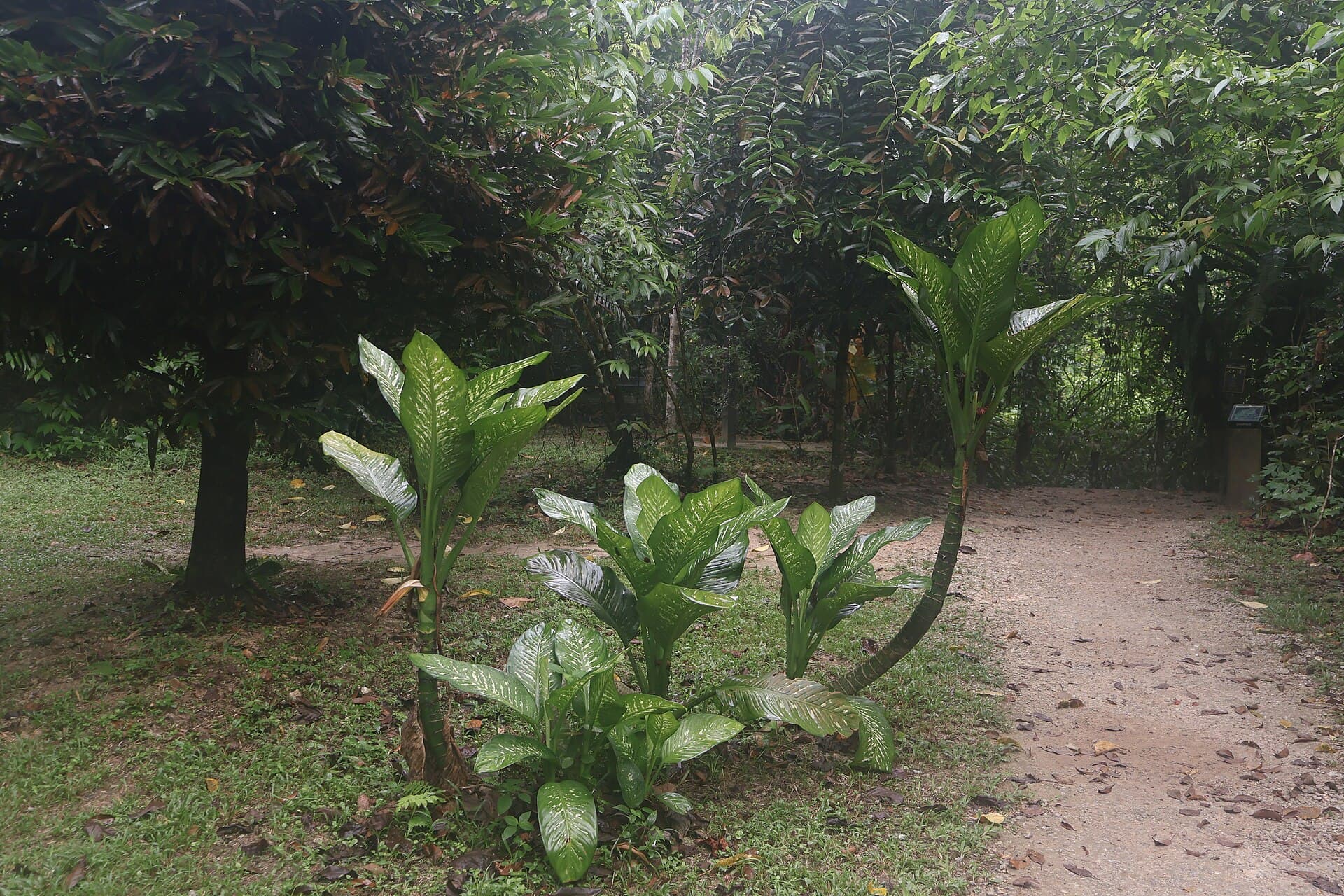 Taman Tugu, Kuala Lumpur