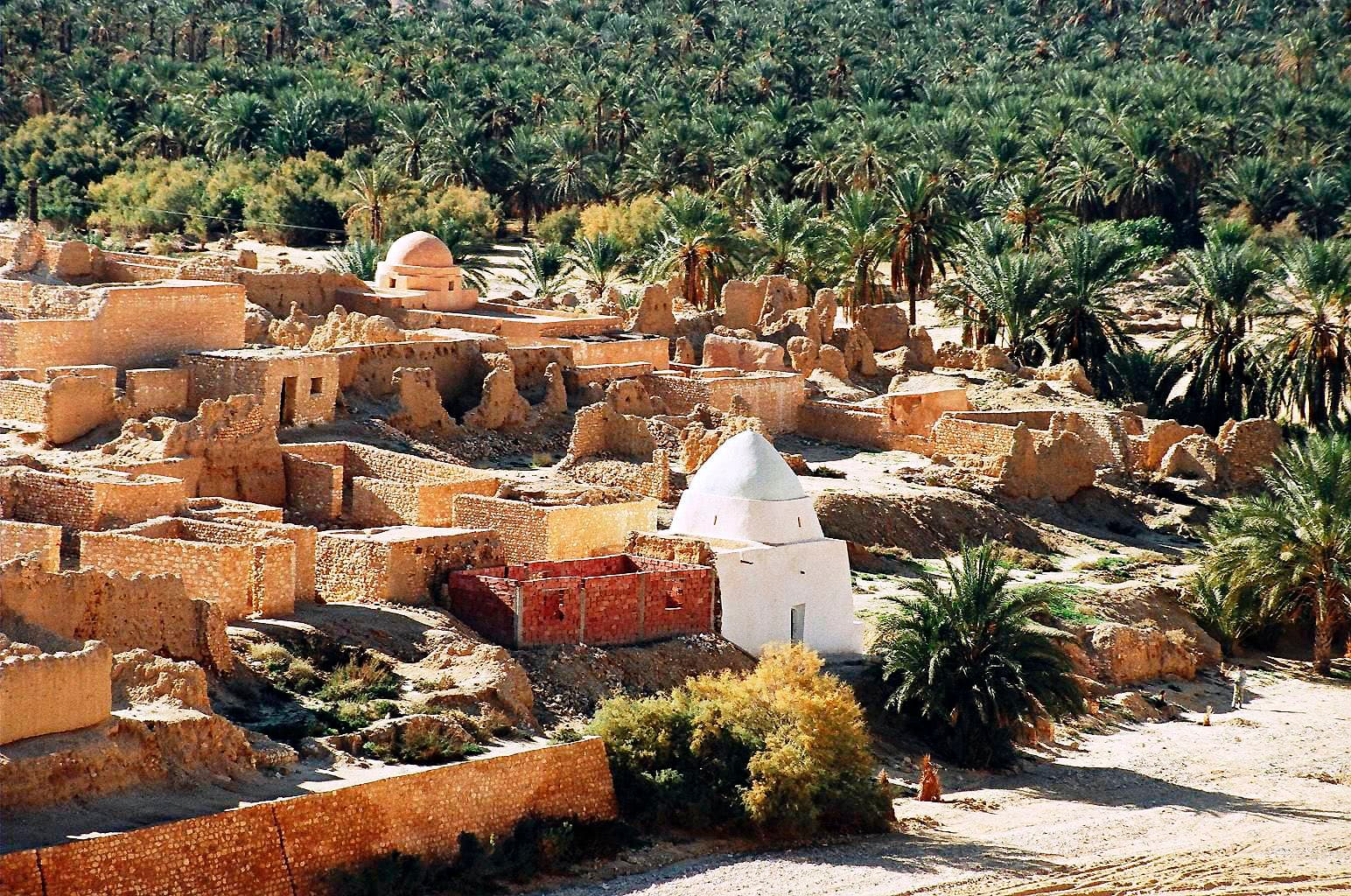 Tamerza oasis