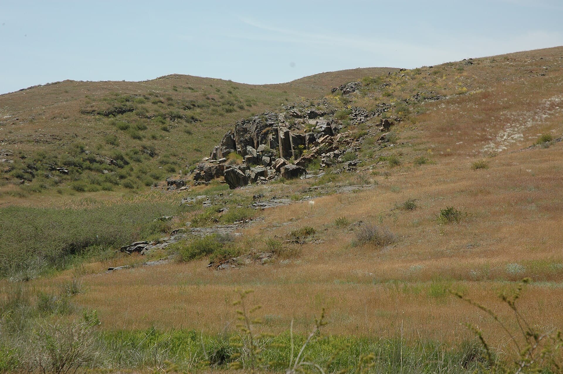 Tanbaly Petroglyphs, Almaty