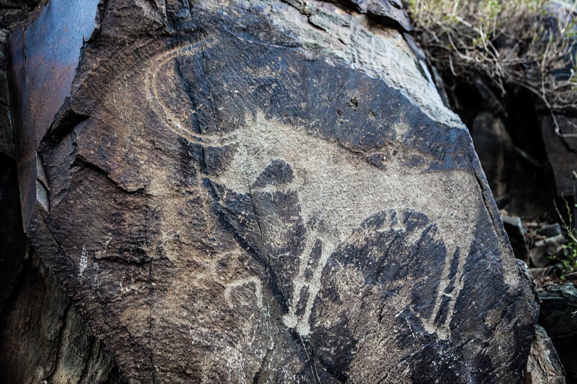 Tanbaly Petroglyphs, Almaty