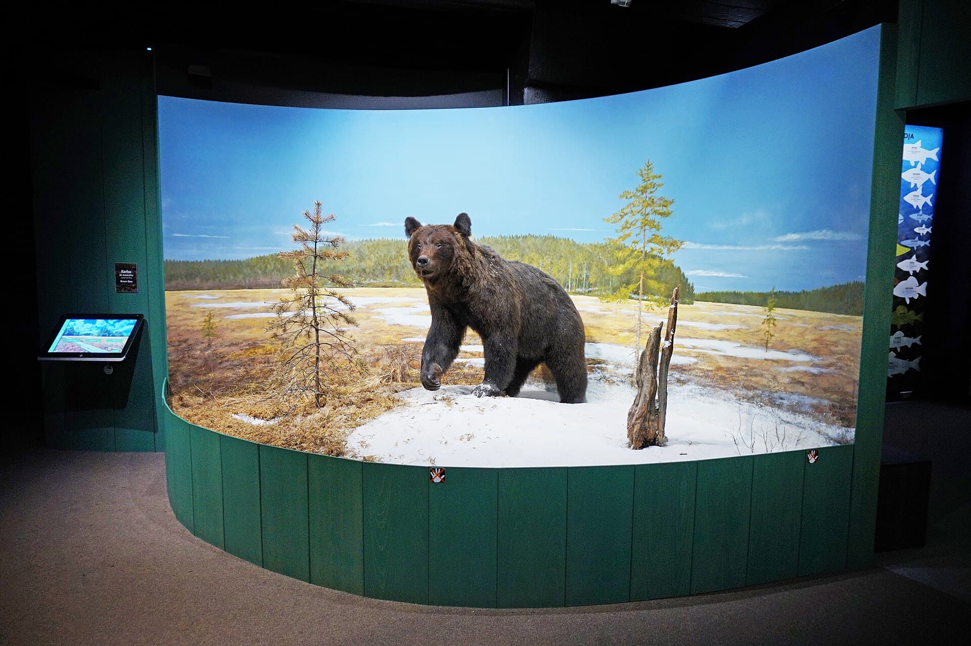 The Tampere Natural History Museum, Tampere