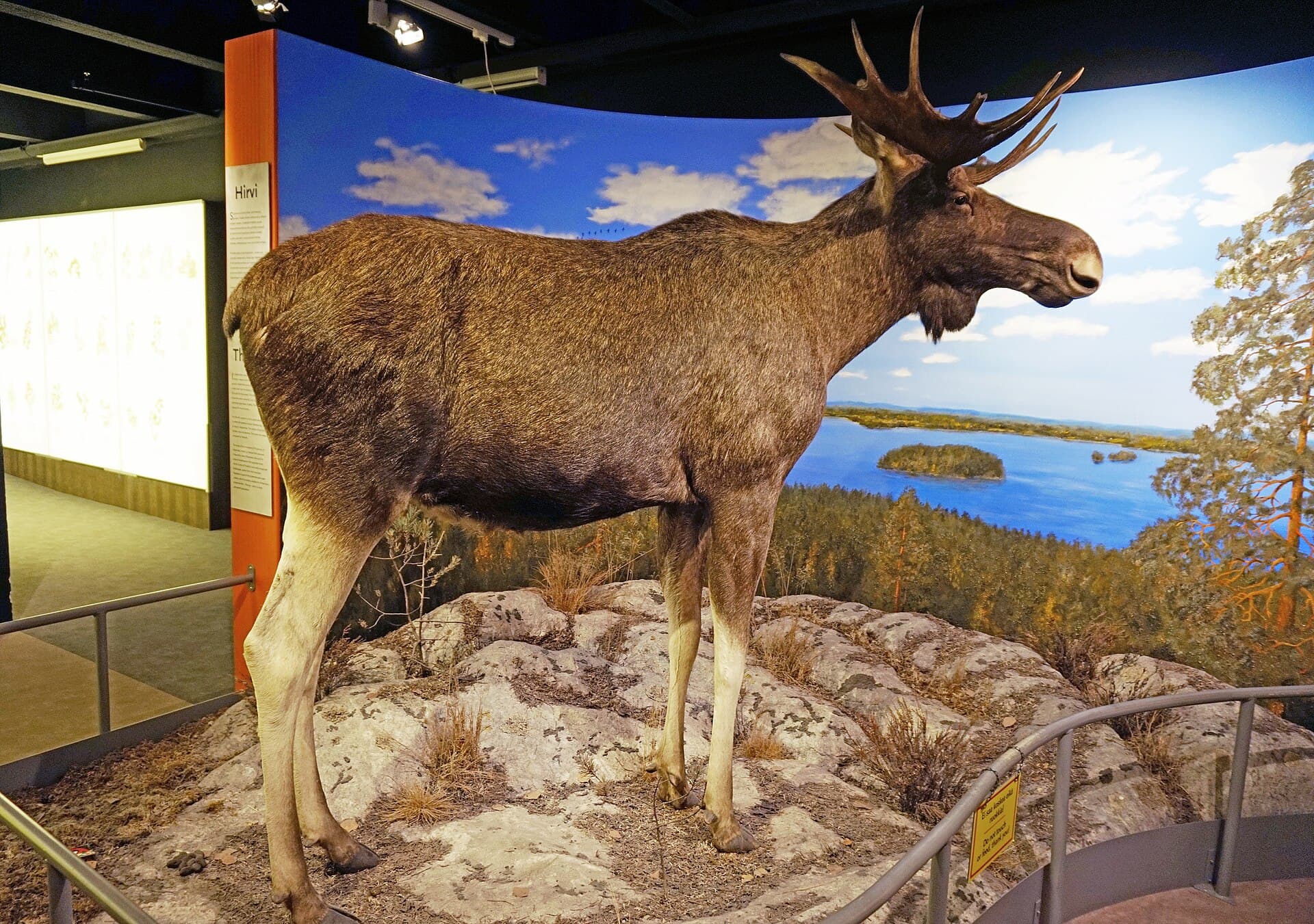The Tampere Natural History Museum, Tampere