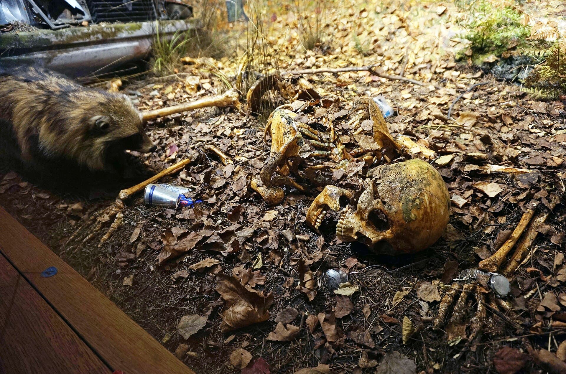 The Tampere Natural History Museum, Tampere