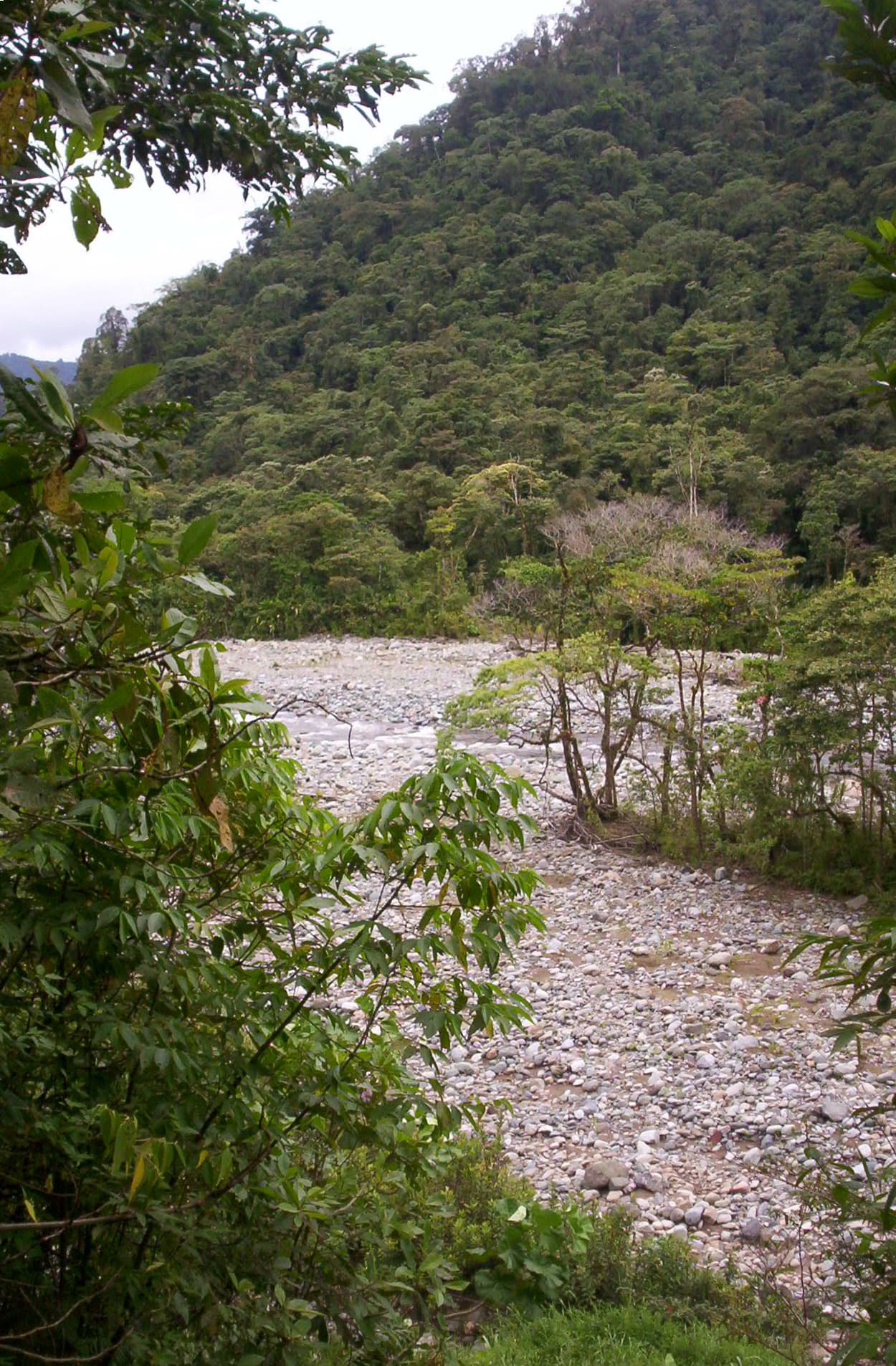 Tapantí National Park