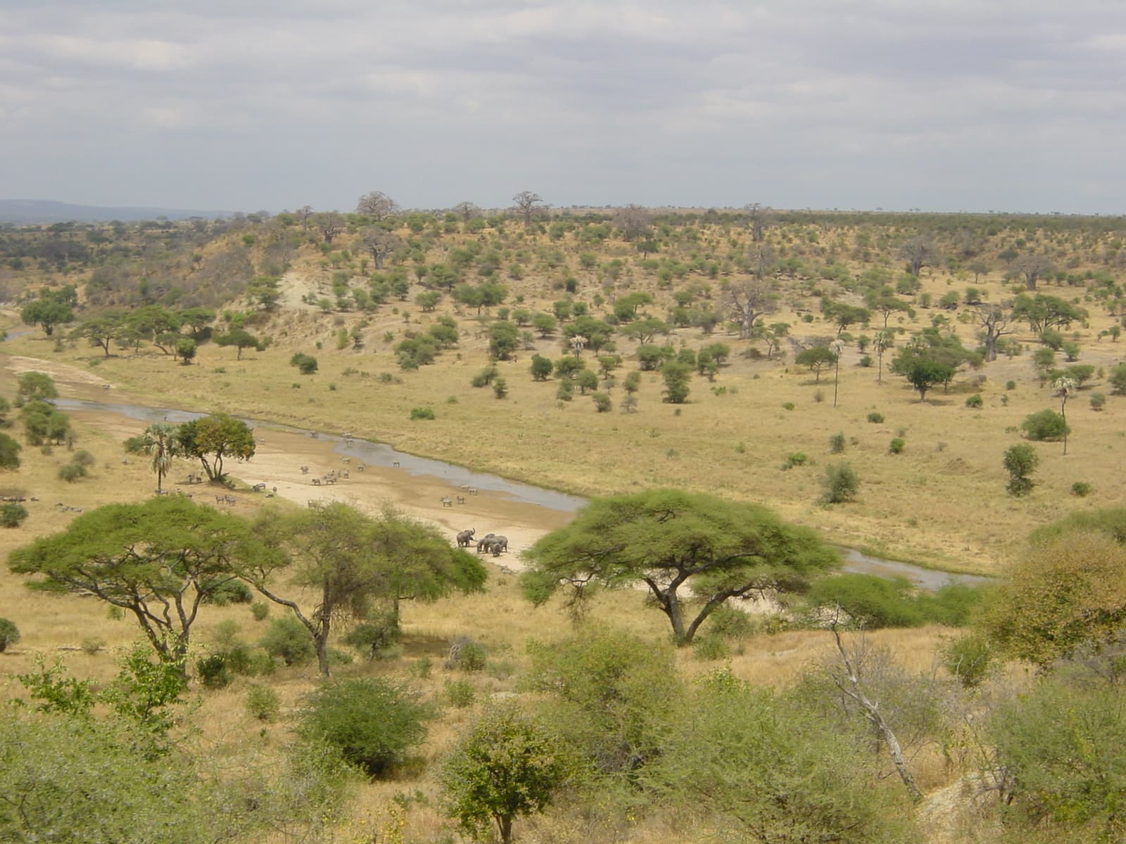 Tarangire National Park