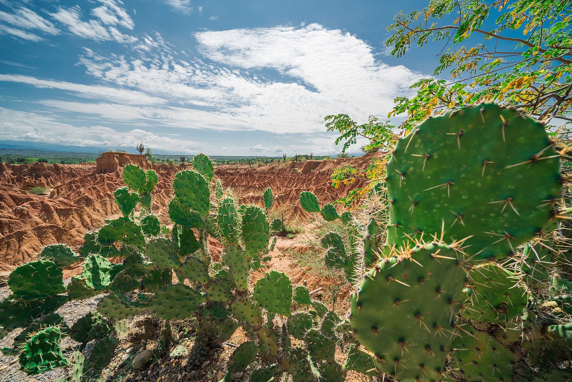 Tatacoa Desert, Villavieja