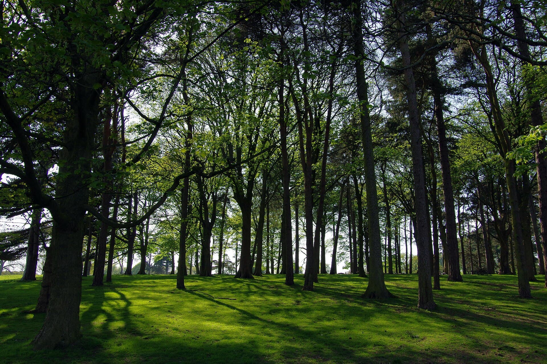 Tatton Park, Manchester