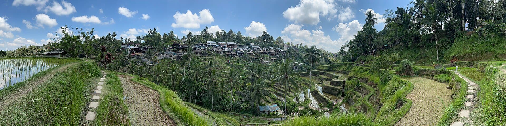 Tegallalang Rice Terraces, Bali