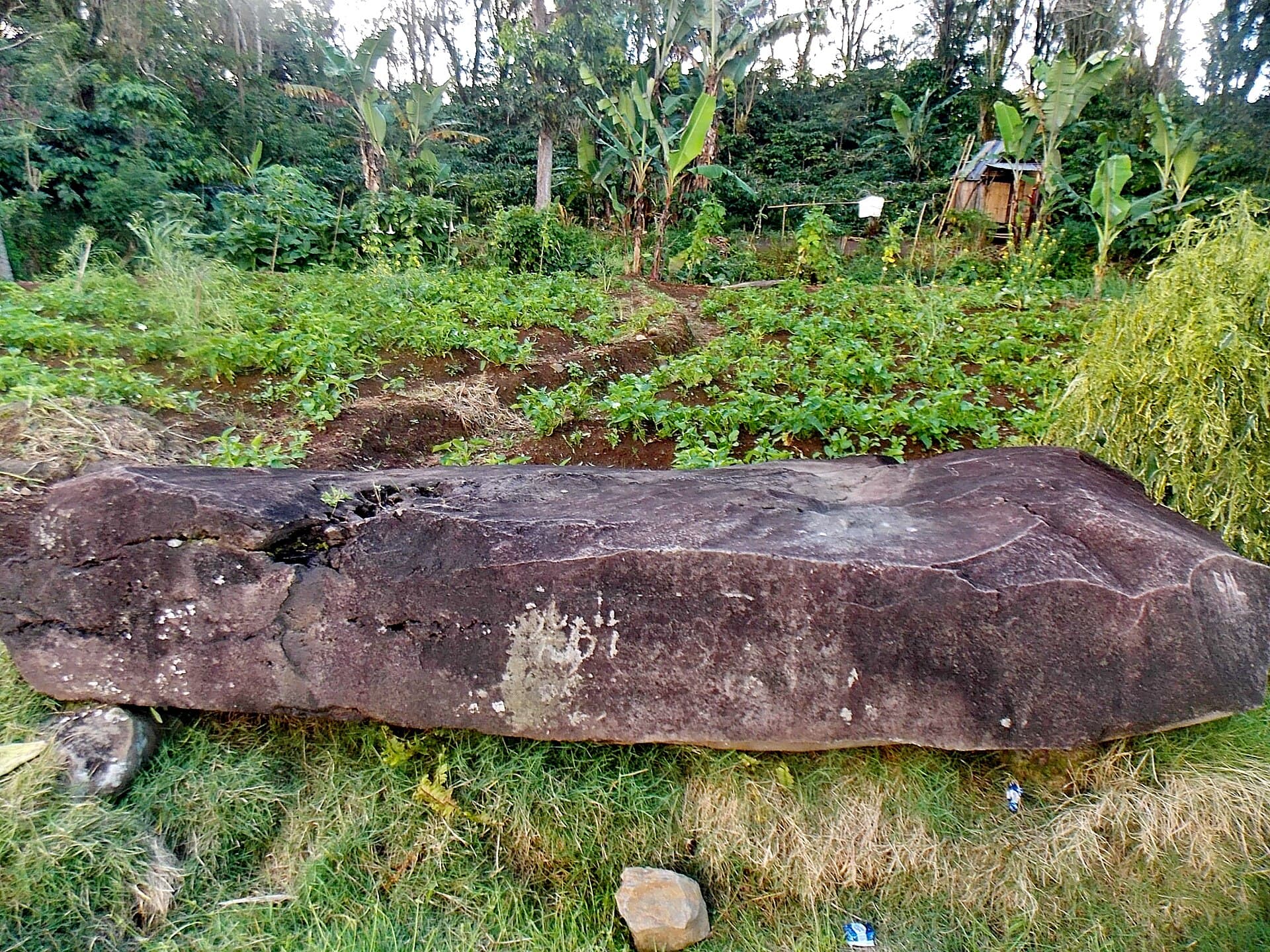 Tegurwangi megaliths near Pagar Alam