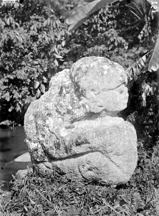 Tegurwangi megaliths near Pagar Alam