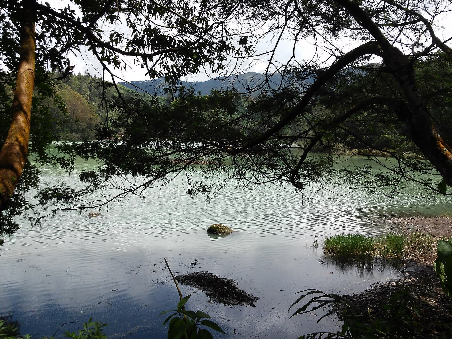 Telaga Warna (Coloured Lake)