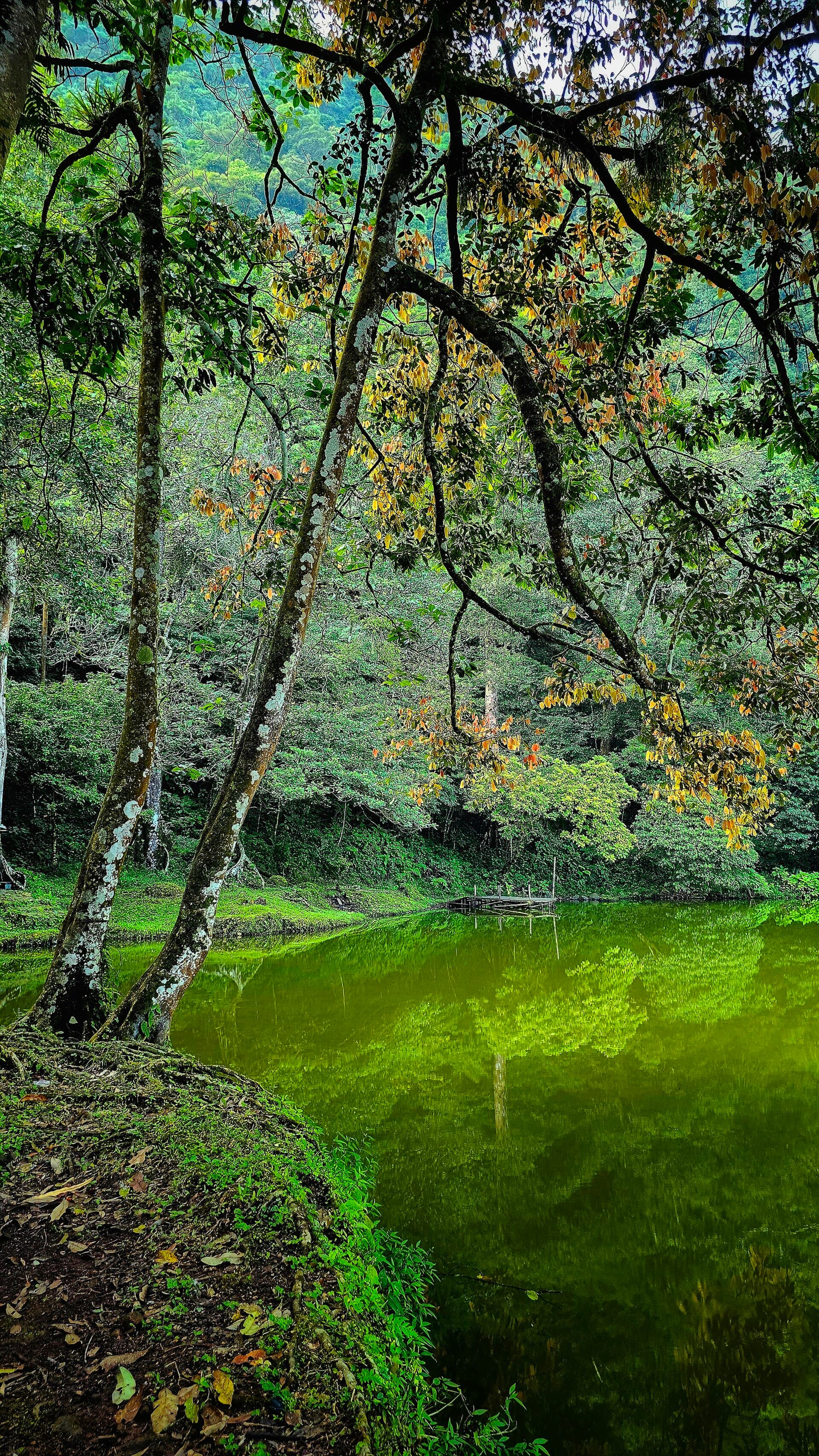 Telaga Warna lake