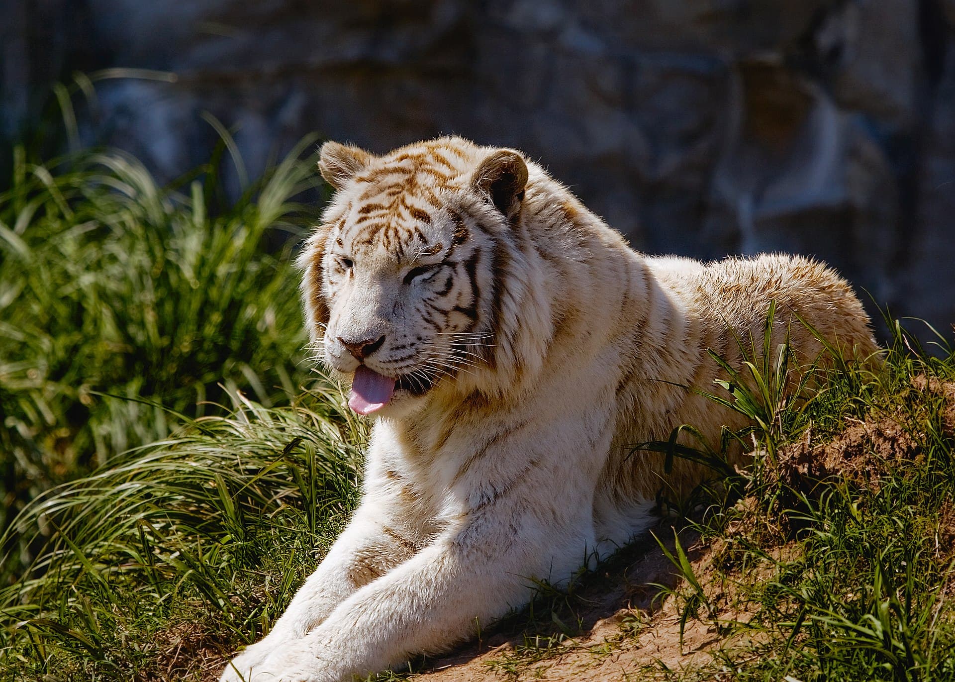 Temaikèn Biopark, Buenos Aires