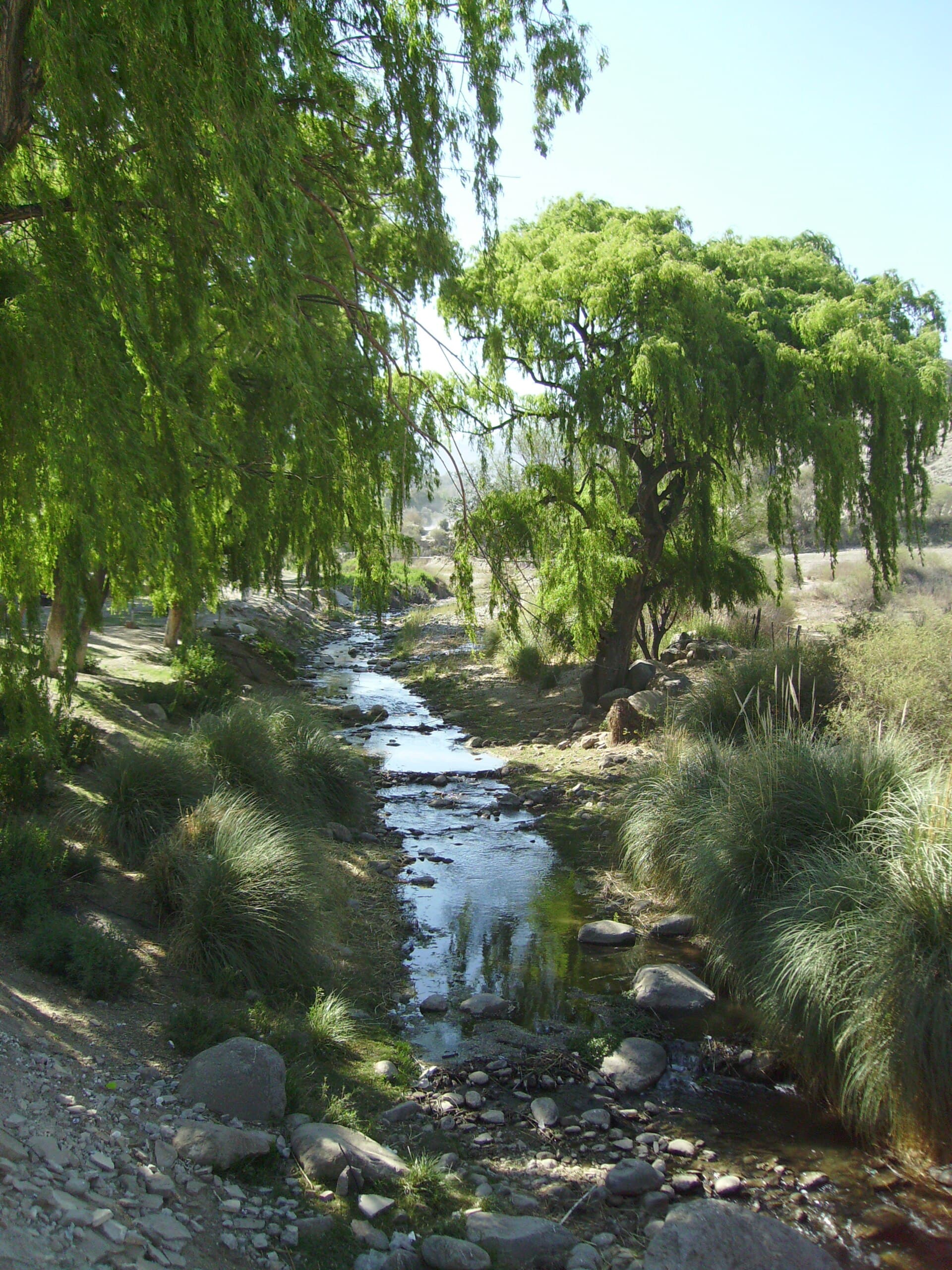 Rosario de la Frontera Hot Springs, Salta