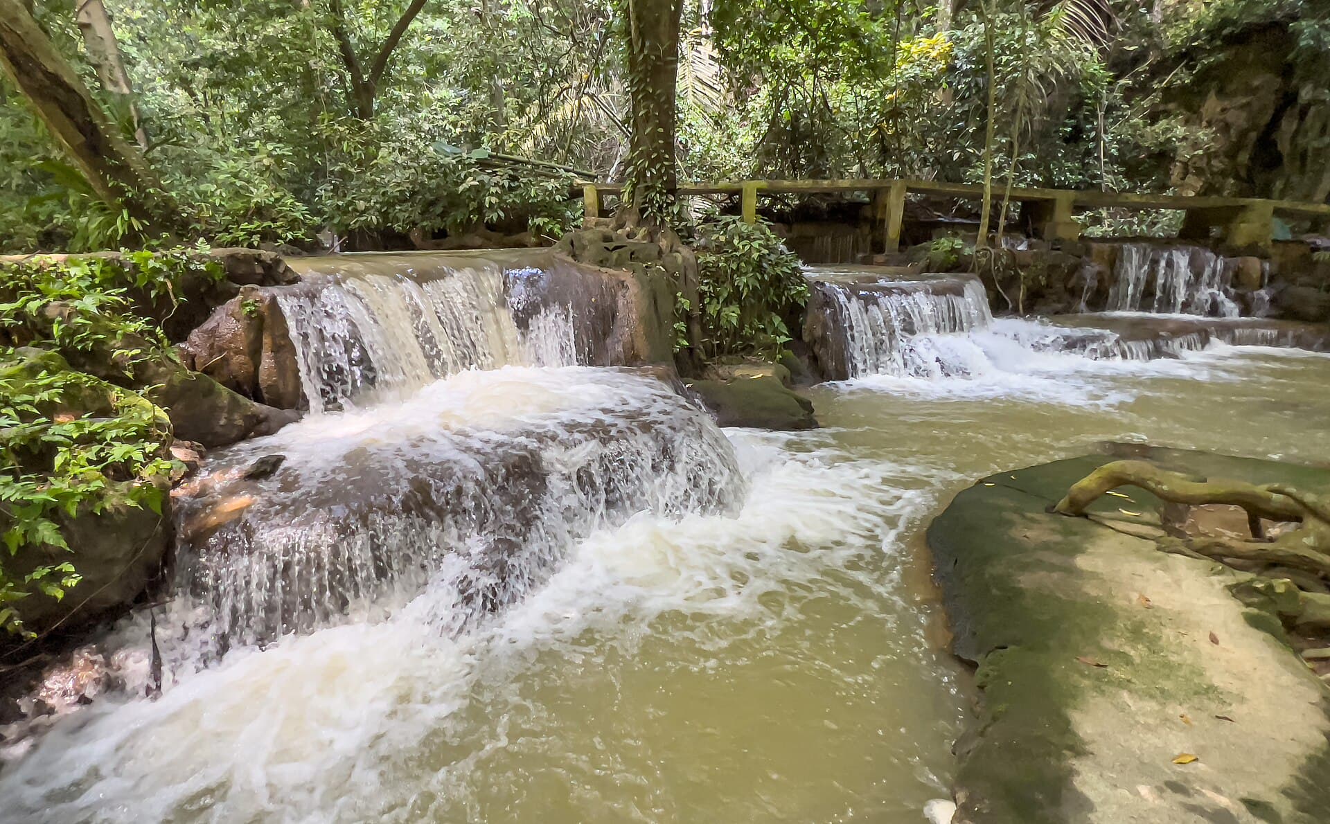 Than Bok Khorani National Park, Krabi