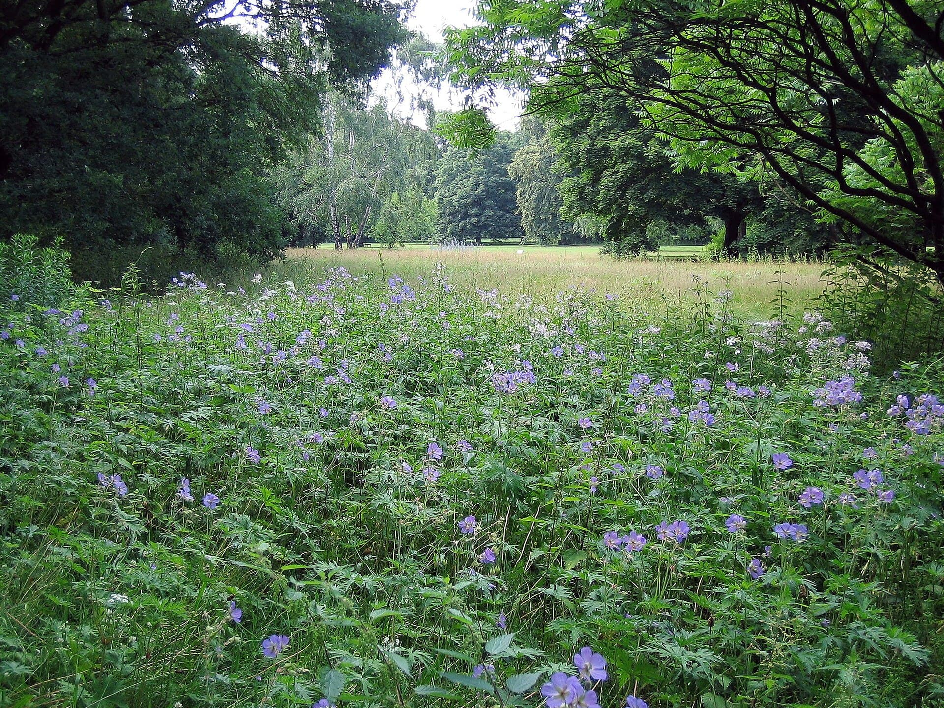 Tiergarten, Berlin