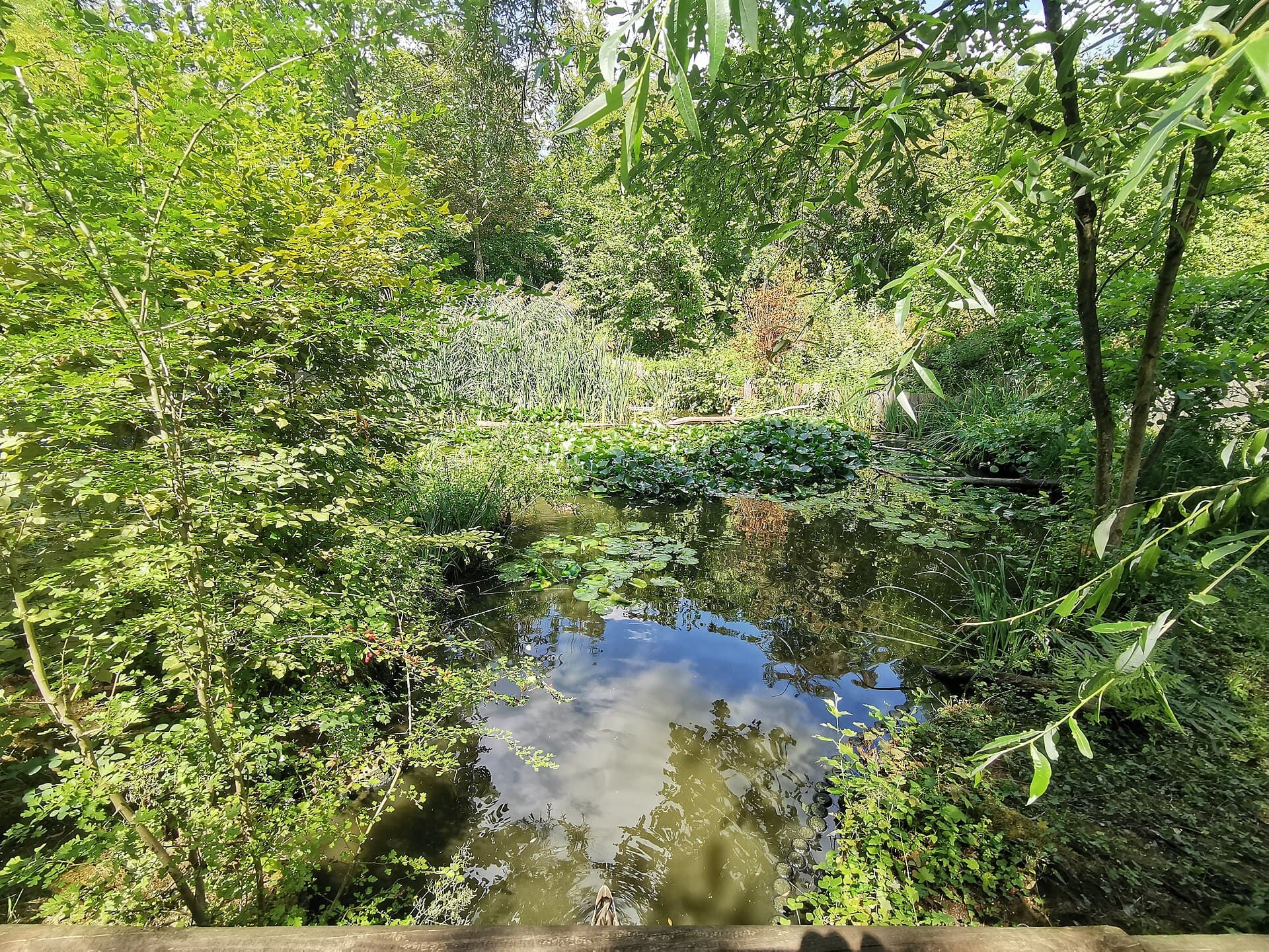 Tierpark Nymphaea, Esslingen