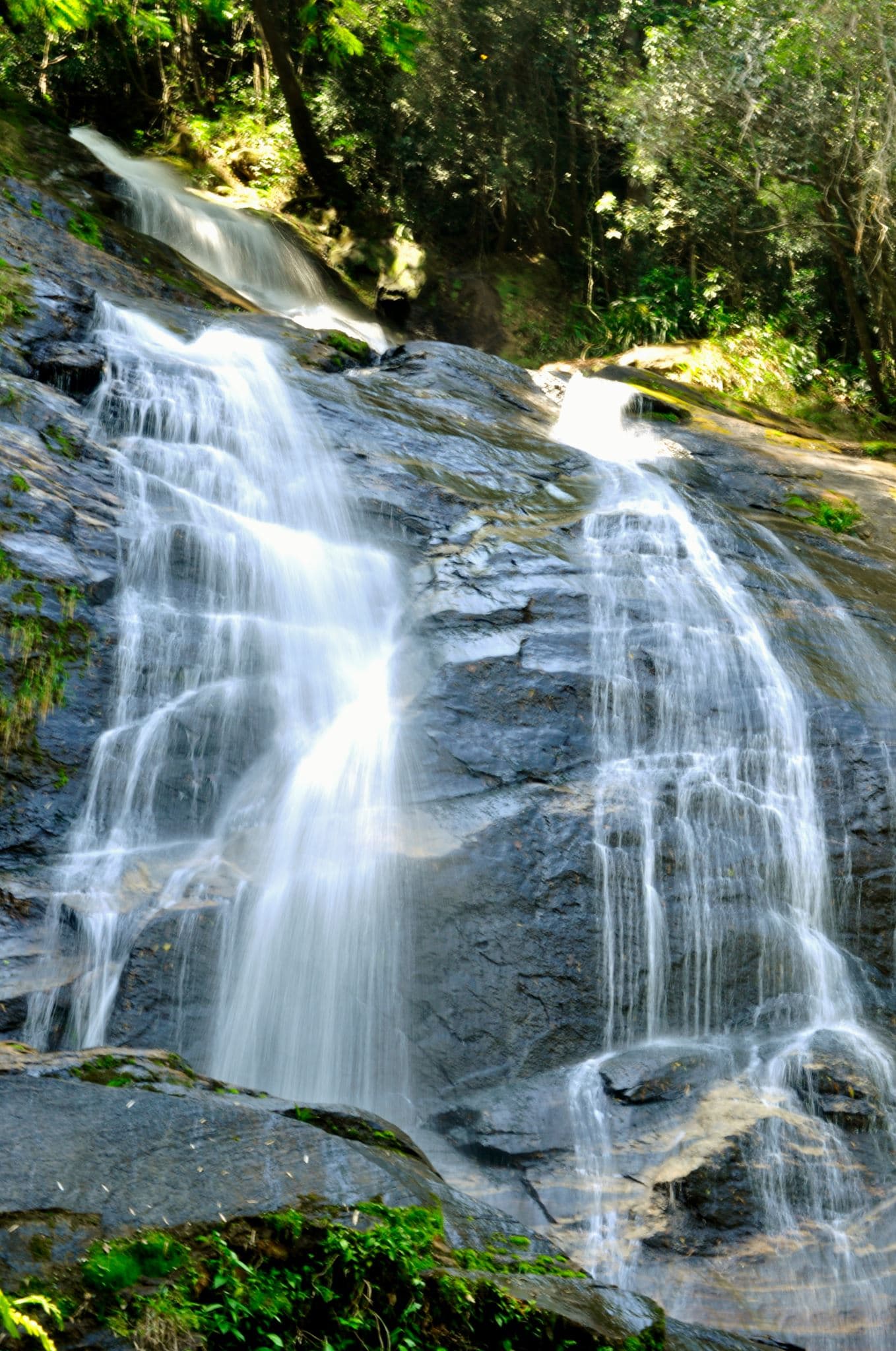 Tijuca National Park, Rio de Janeiro