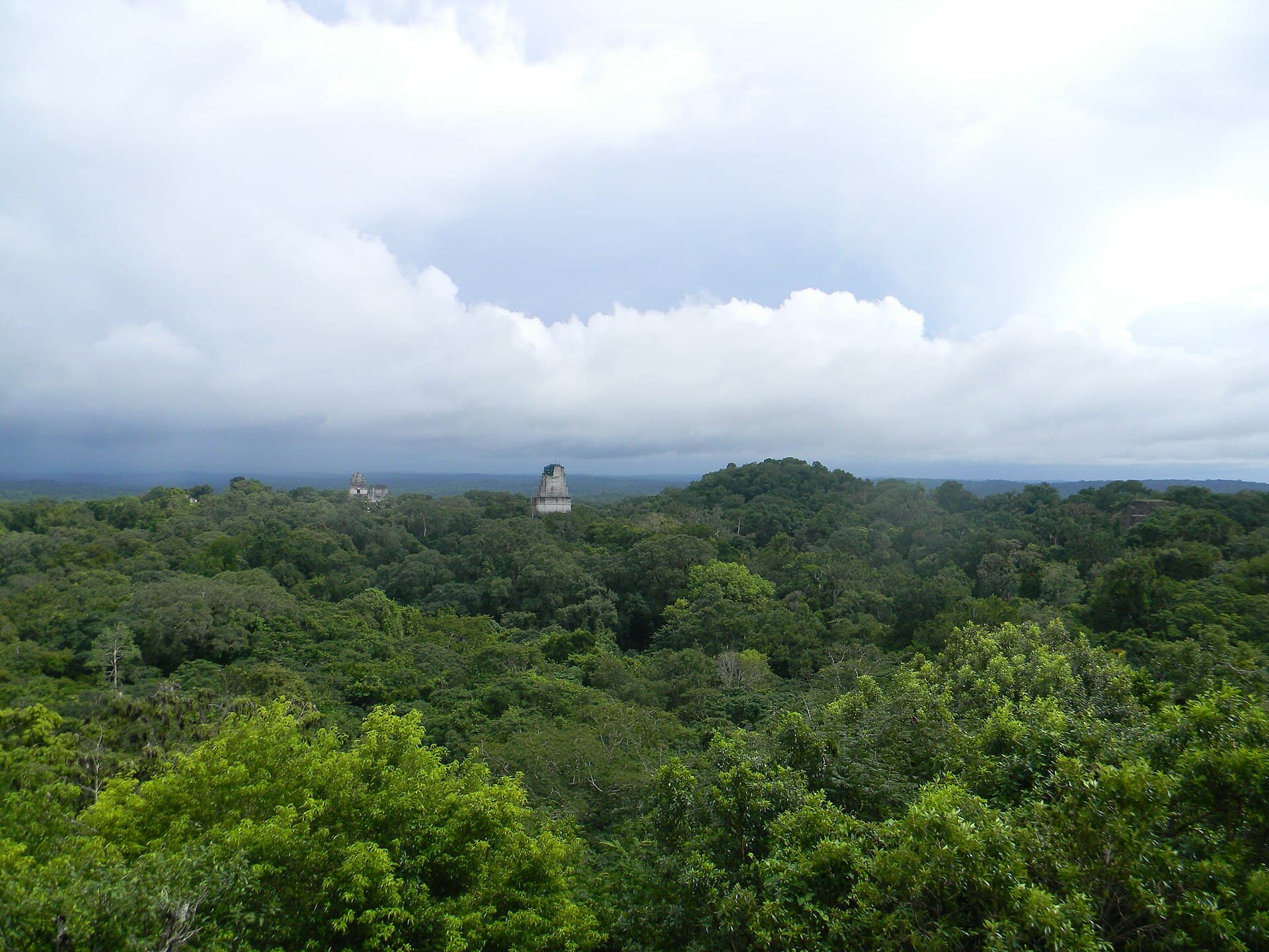 The temples of Tikal