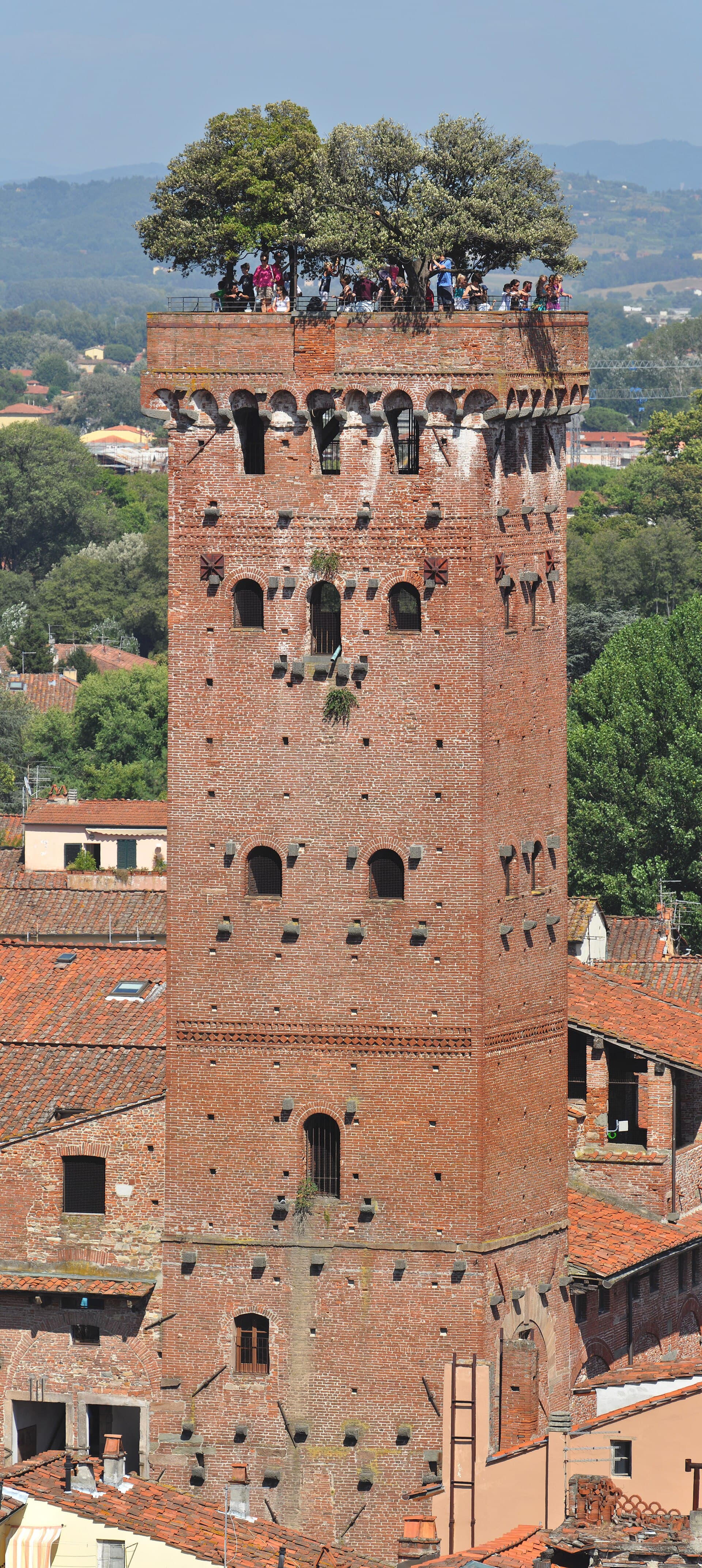 The Guinigi Tower, Lucca