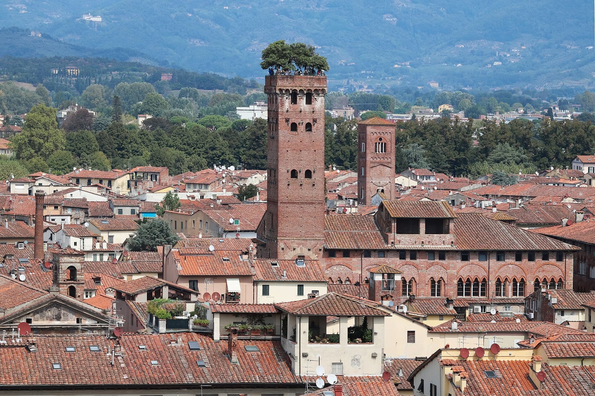 The Guinigi Tower, Lucca