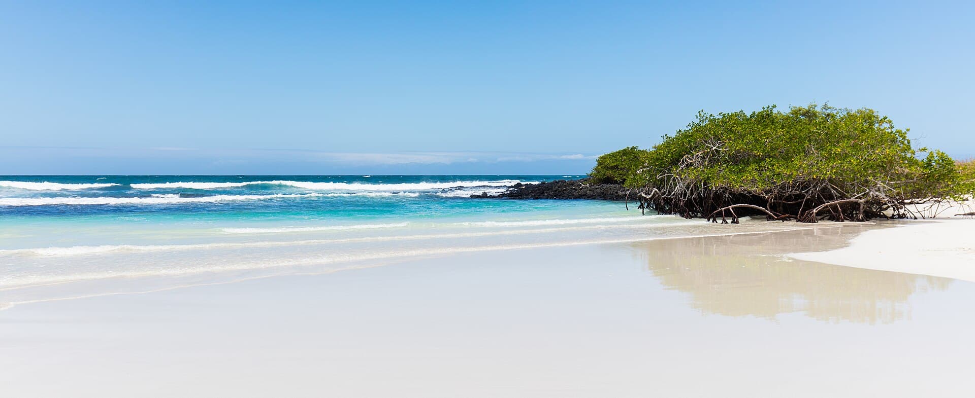 Tortuga Bay, Santa Cruz Island