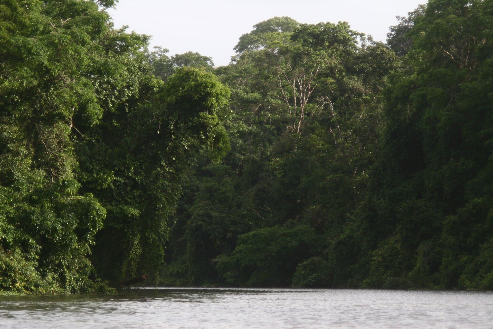 Tortuguero National Park canals