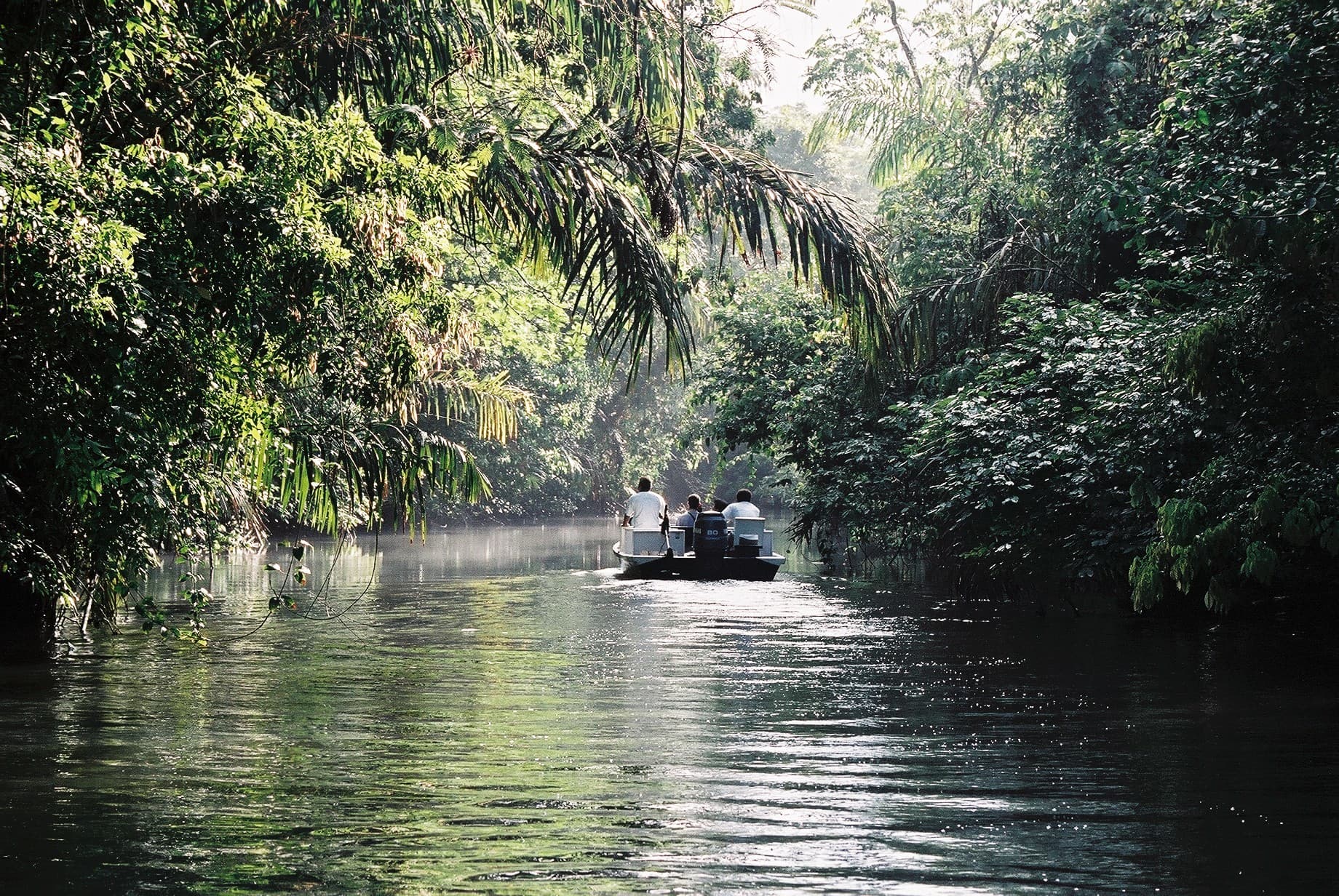 Tortuguero National Park canals